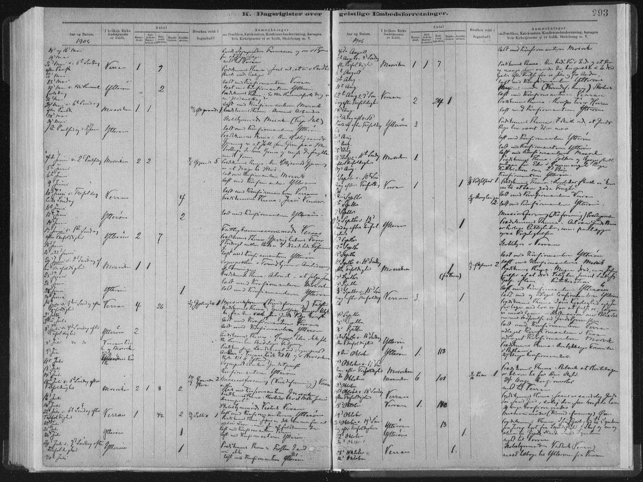Ministerialprotokoller, klokkerbøker og fødselsregistre - Nord-Trøndelag, SAT/A-1458/722/L0220: Parish register (official) no. 722A07, 1881-1908, p. 293
