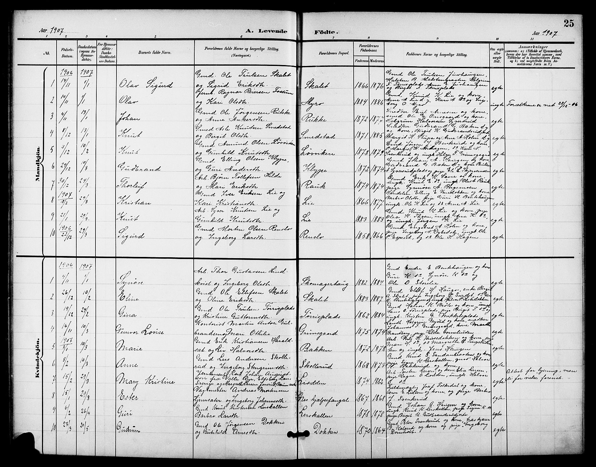 Nes kirkebøker, SAKO/A-236/G/Ga/L0004: Parish register (copy) no. I 4, 1900-1925, p. 25