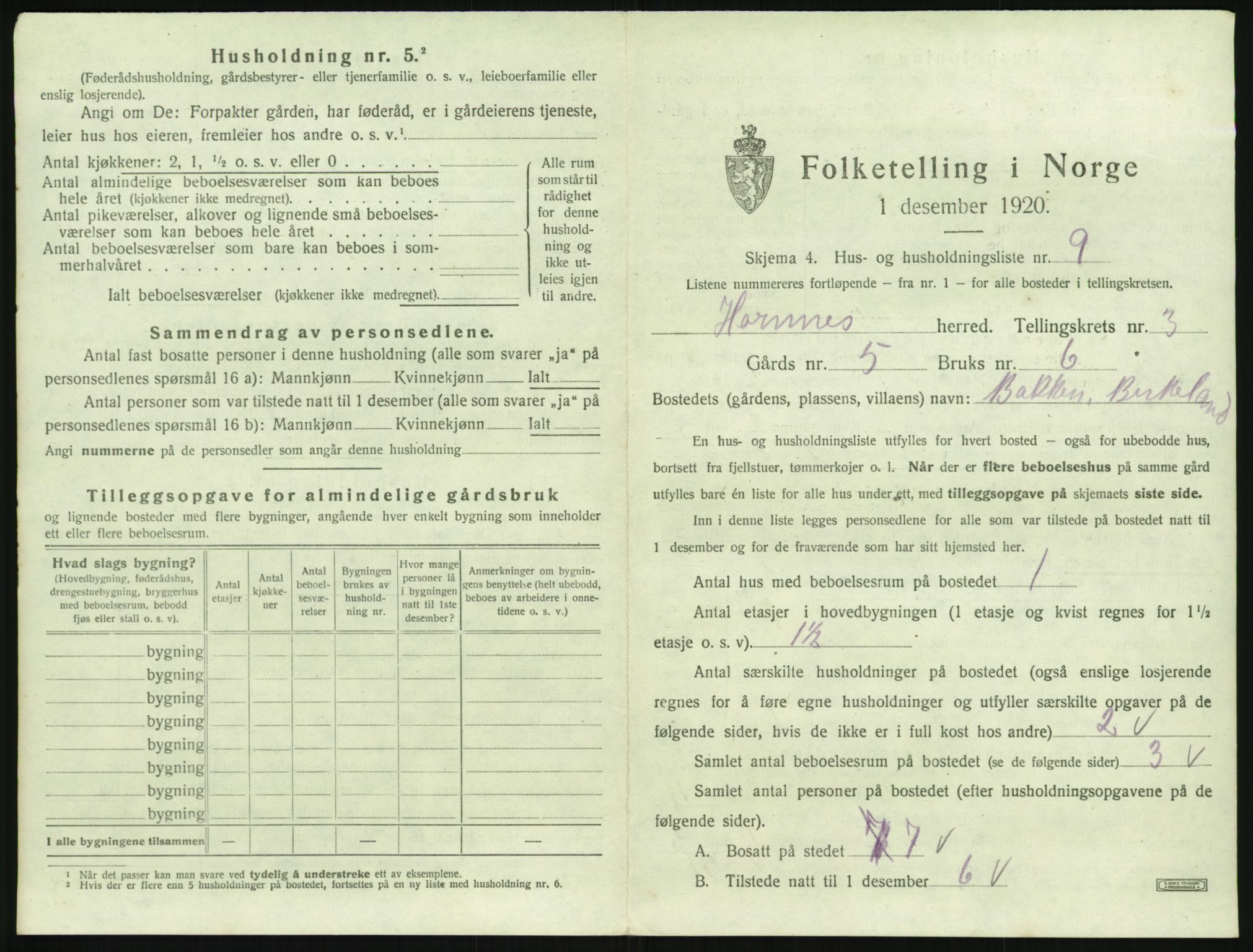 SAK, 1920 census for Hornnes, 1920, p. 133