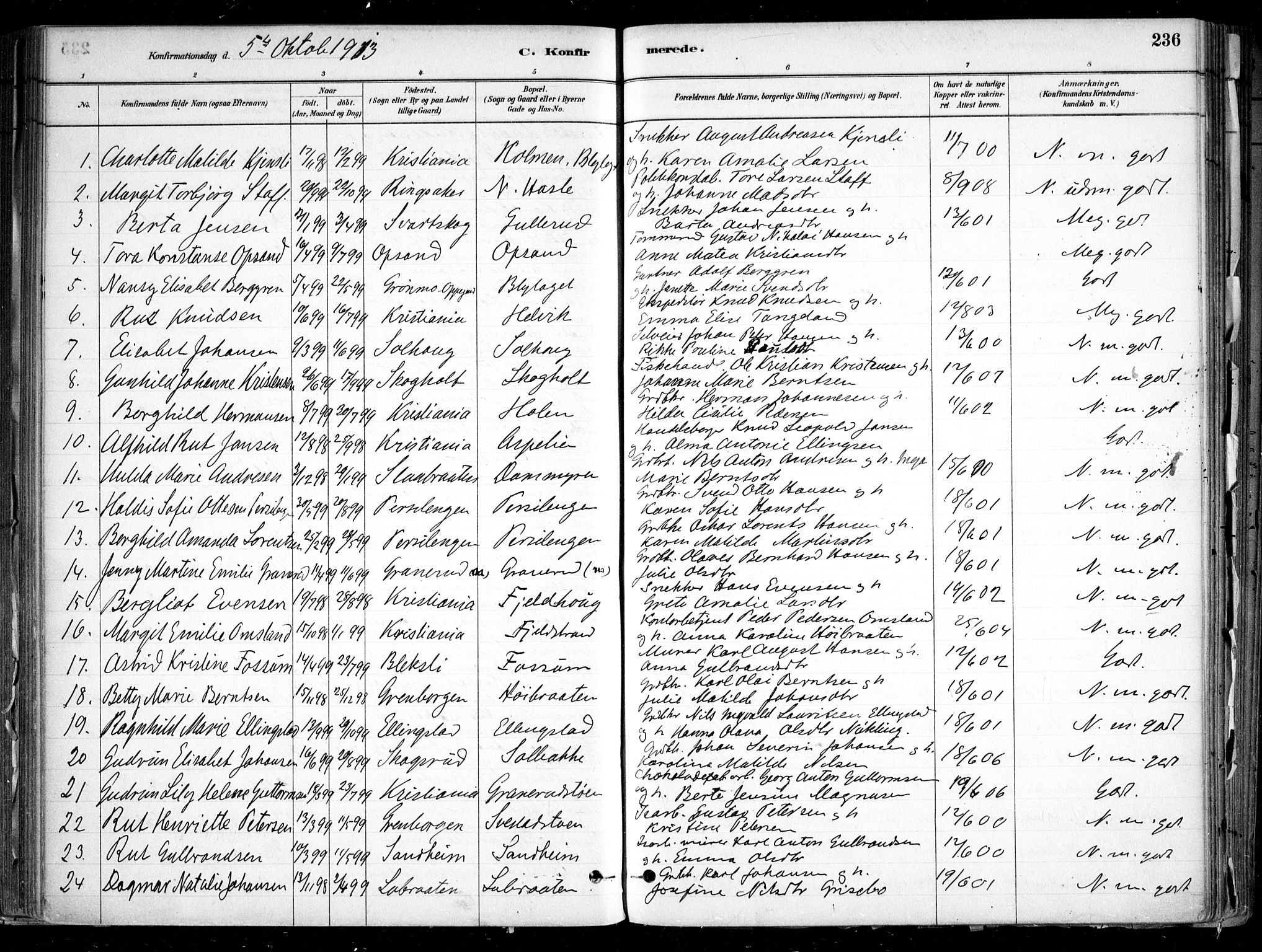 Nesodden prestekontor Kirkebøker, SAO/A-10013/F/Fa/L0009: Parish register (official) no. I 9, 1880-1915, p. 236