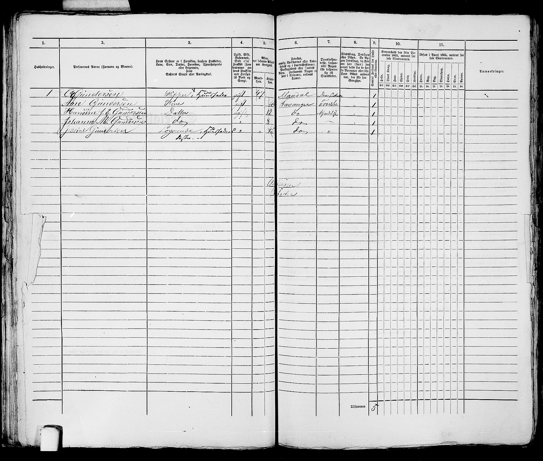 RA, 1865 census for Stavanger, 1865, p. 2573