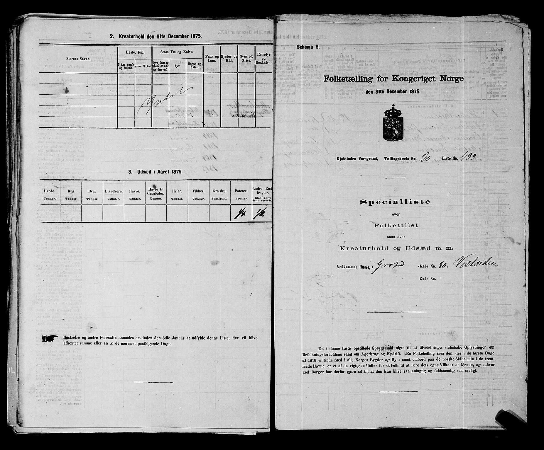 SAKO, 1875 census for 0805P Porsgrunn, 1875, p. 971