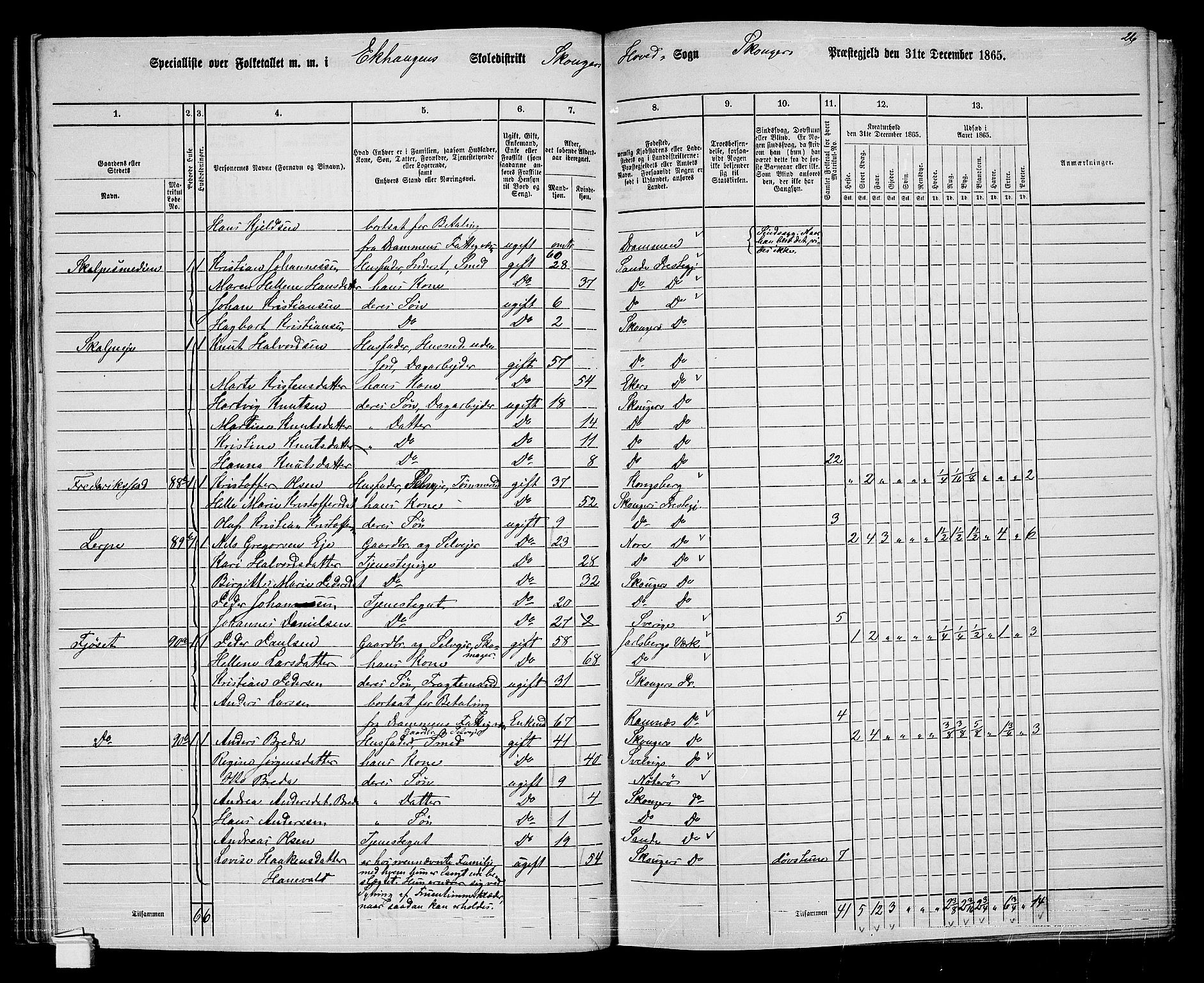 RA, 1865 census for Skoger, 1865, p. 68