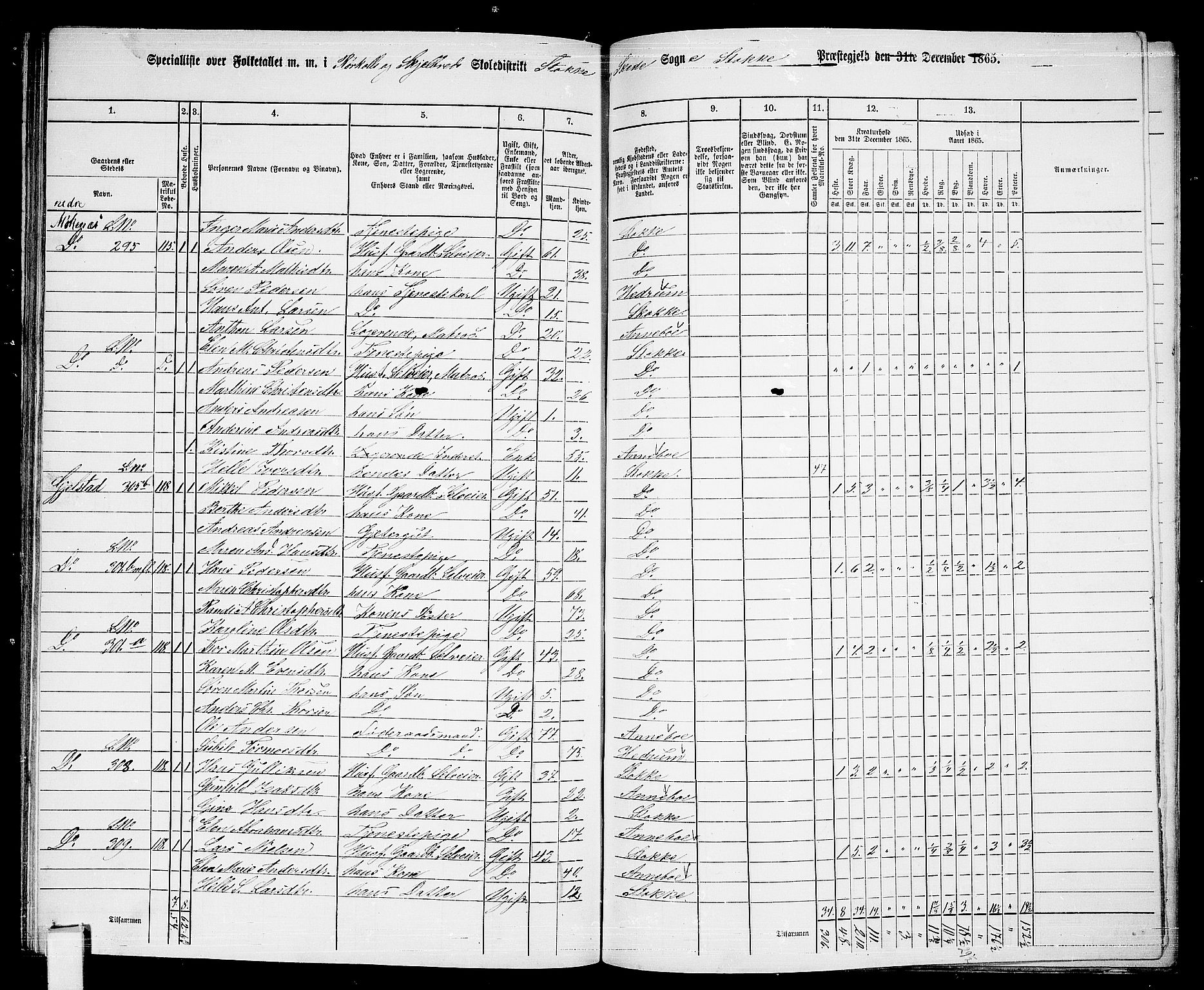 RA, 1865 census for Stokke, 1865, p. 126