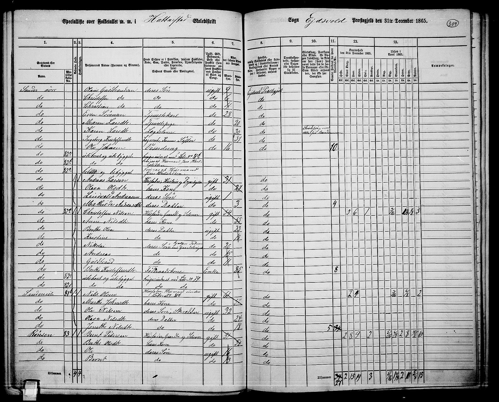 RA, 1865 census for Eidsvoll, 1865, p. 273