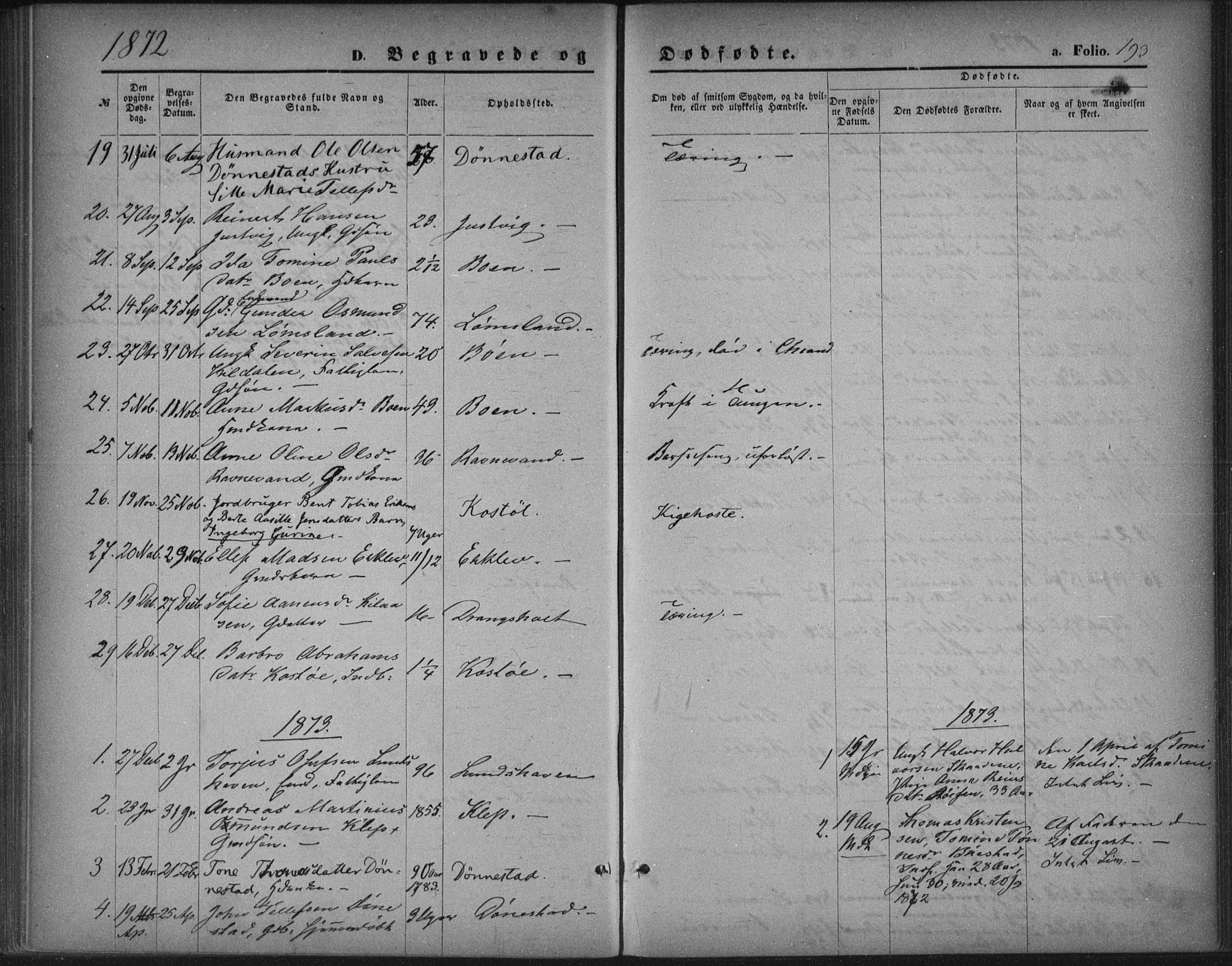 Tveit sokneprestkontor, AV/SAK-1111-0043/F/Fa/L0006: Parish register (official) no. A 6, 1872-1886, p. 193