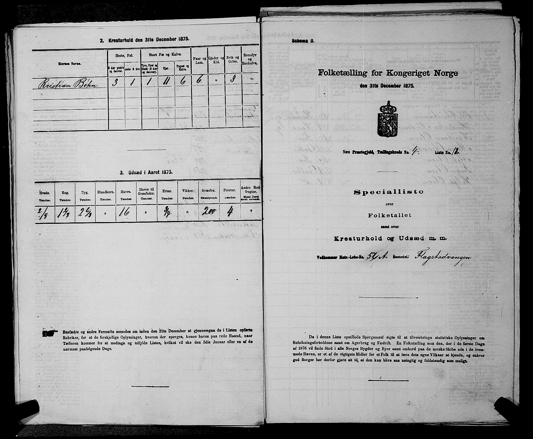 RA, 1875 census for 0236P Nes, 1875, p. 506