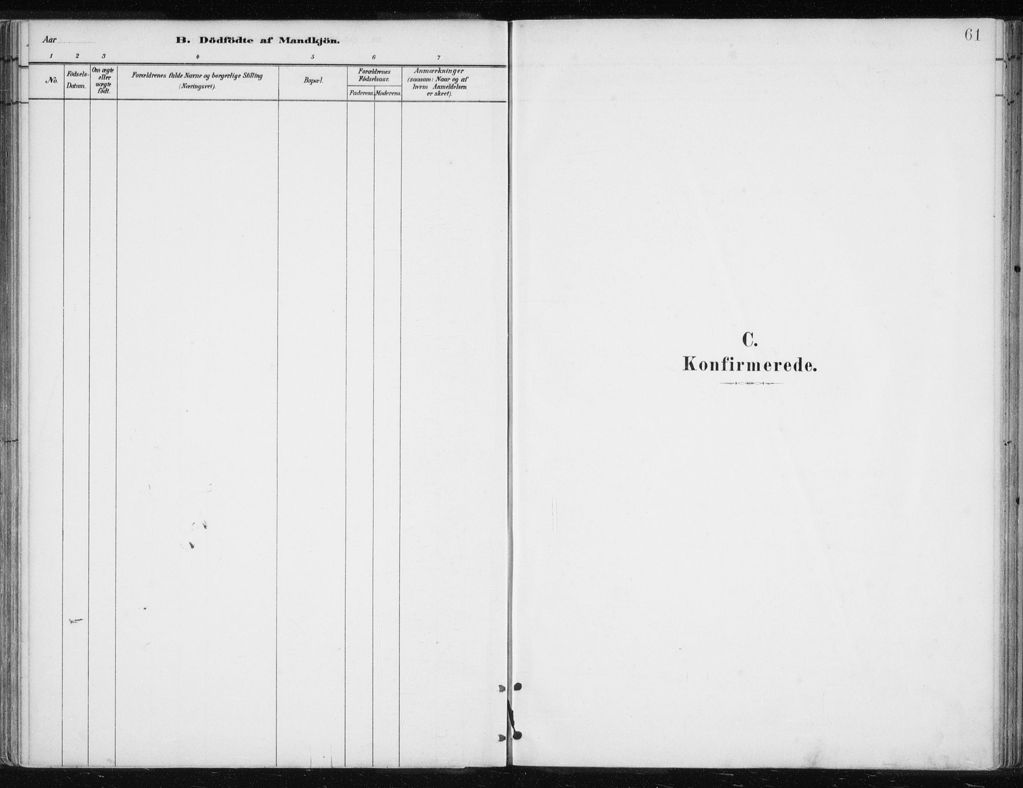 Lyngen sokneprestembete, SATØ/S-1289/H/He/Hea/L0010kirke: Parish register (official) no. 10, 1883-1904, p. 61
