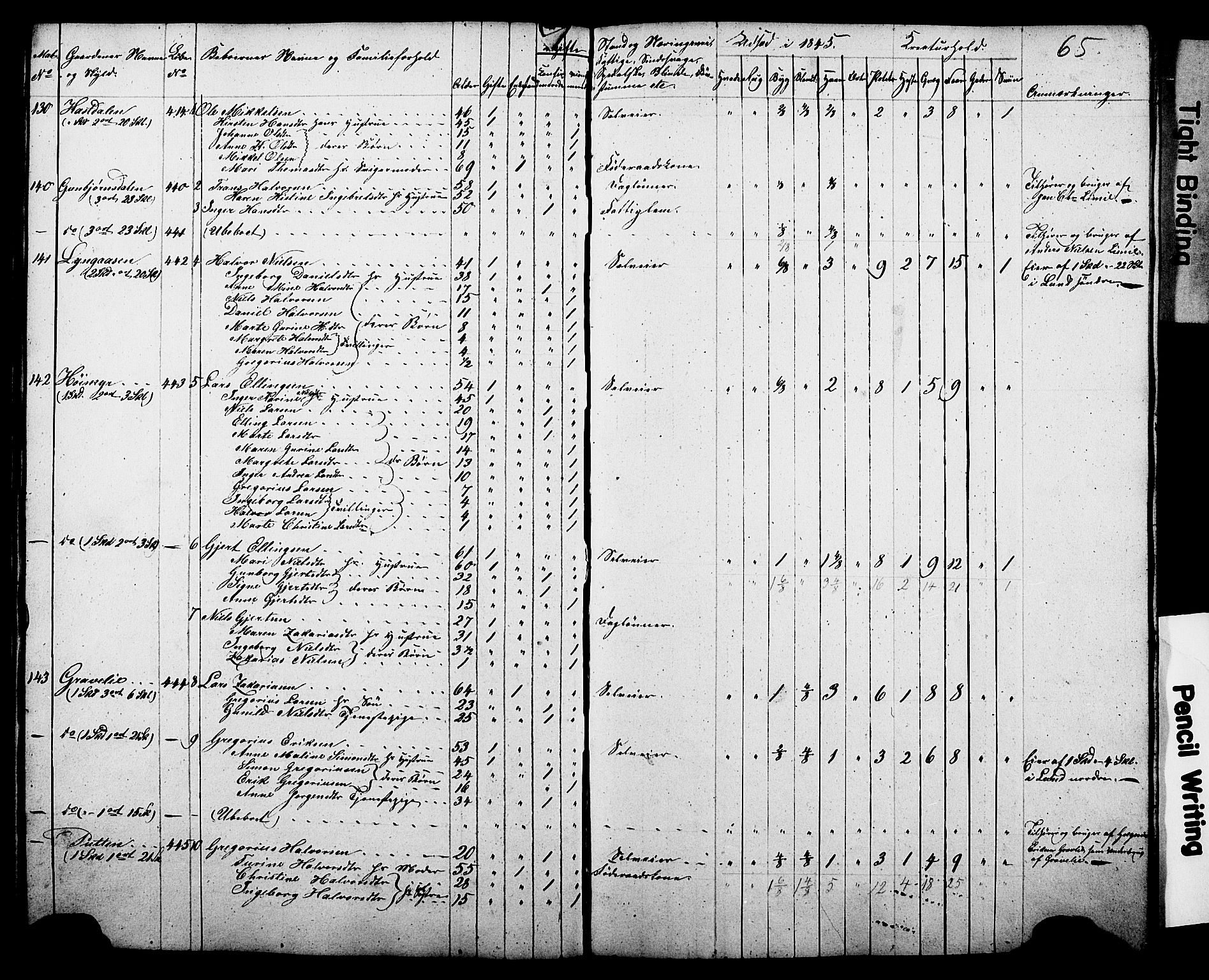 , Census 1845 for Gjerpen, 1845, p. 65