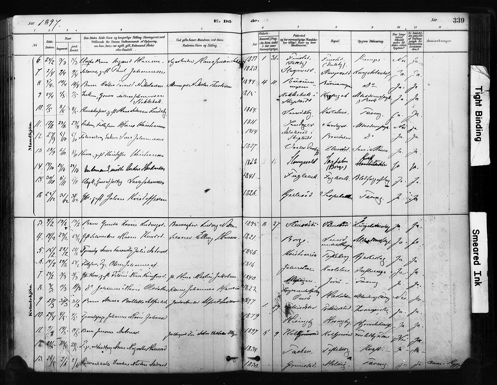 Råde prestekontor kirkebøker, AV/SAO-A-2009/F/Fa/L0007: Parish register (official) no. 7, 1878-1902, p. 339