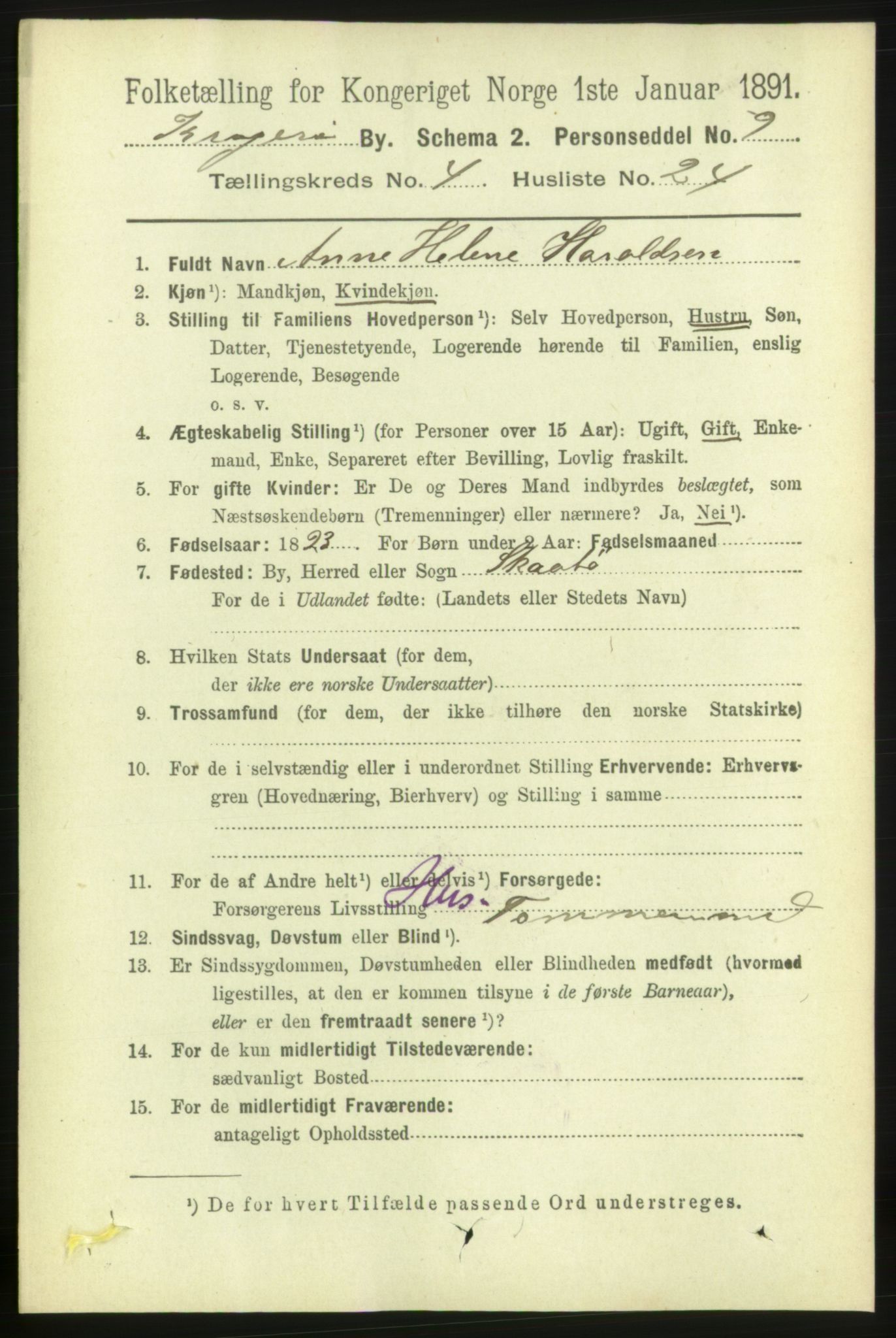 RA, 1891 census for 0801 Kragerø, 1891, p. 3005