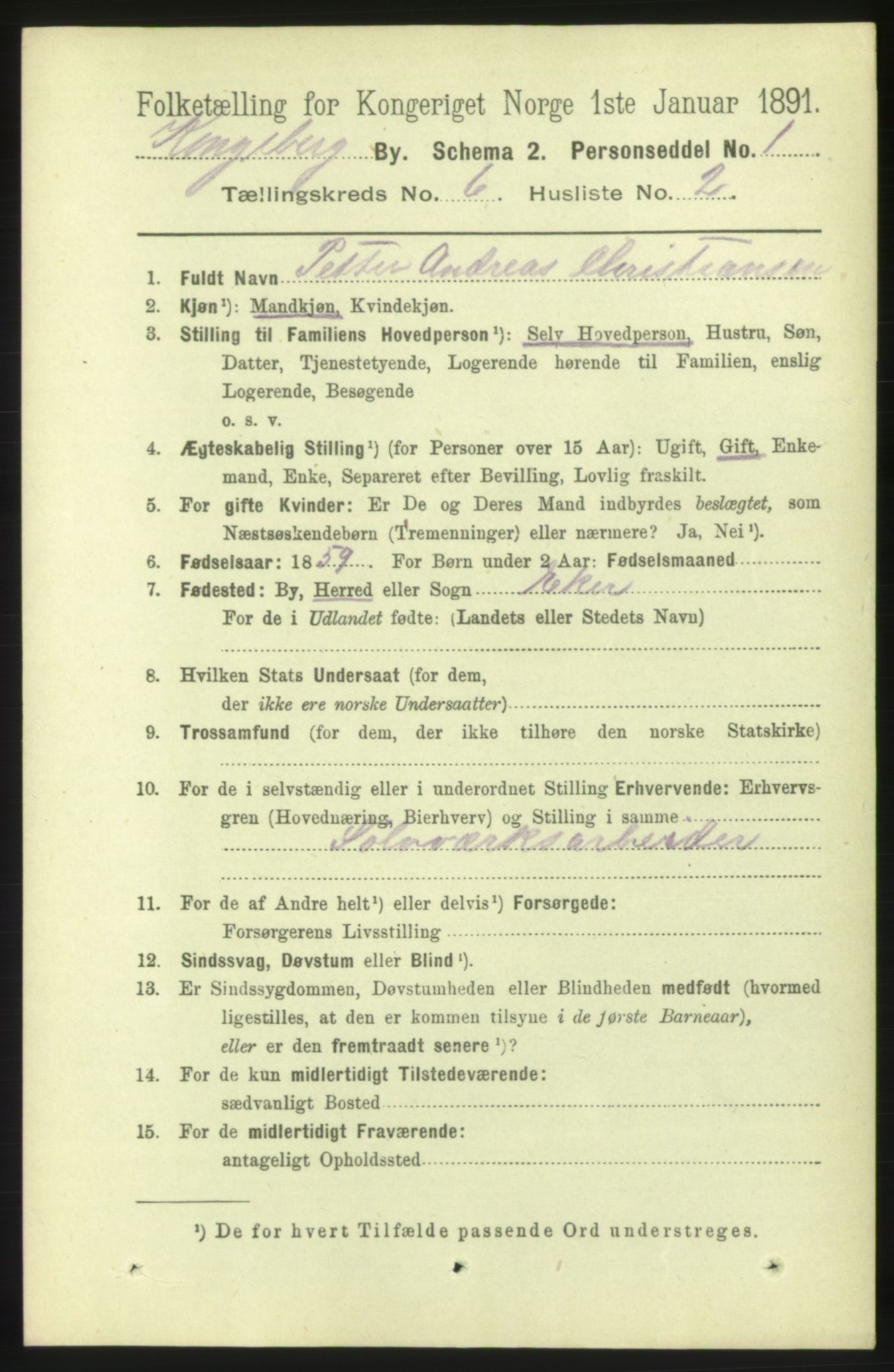 RA, 1891 census for 0604 Kongsberg, 1891, p. 4845