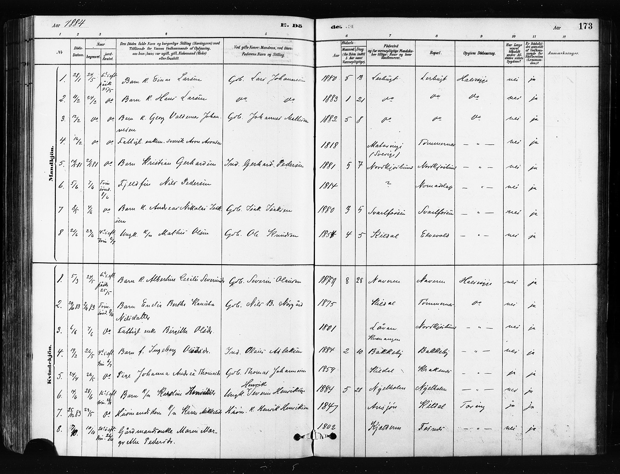 Skjervøy sokneprestkontor, SATØ/S-1300/H/Ha/Haa/L0014kirke: Parish register (official) no. 14, 1878-1894, p. 173