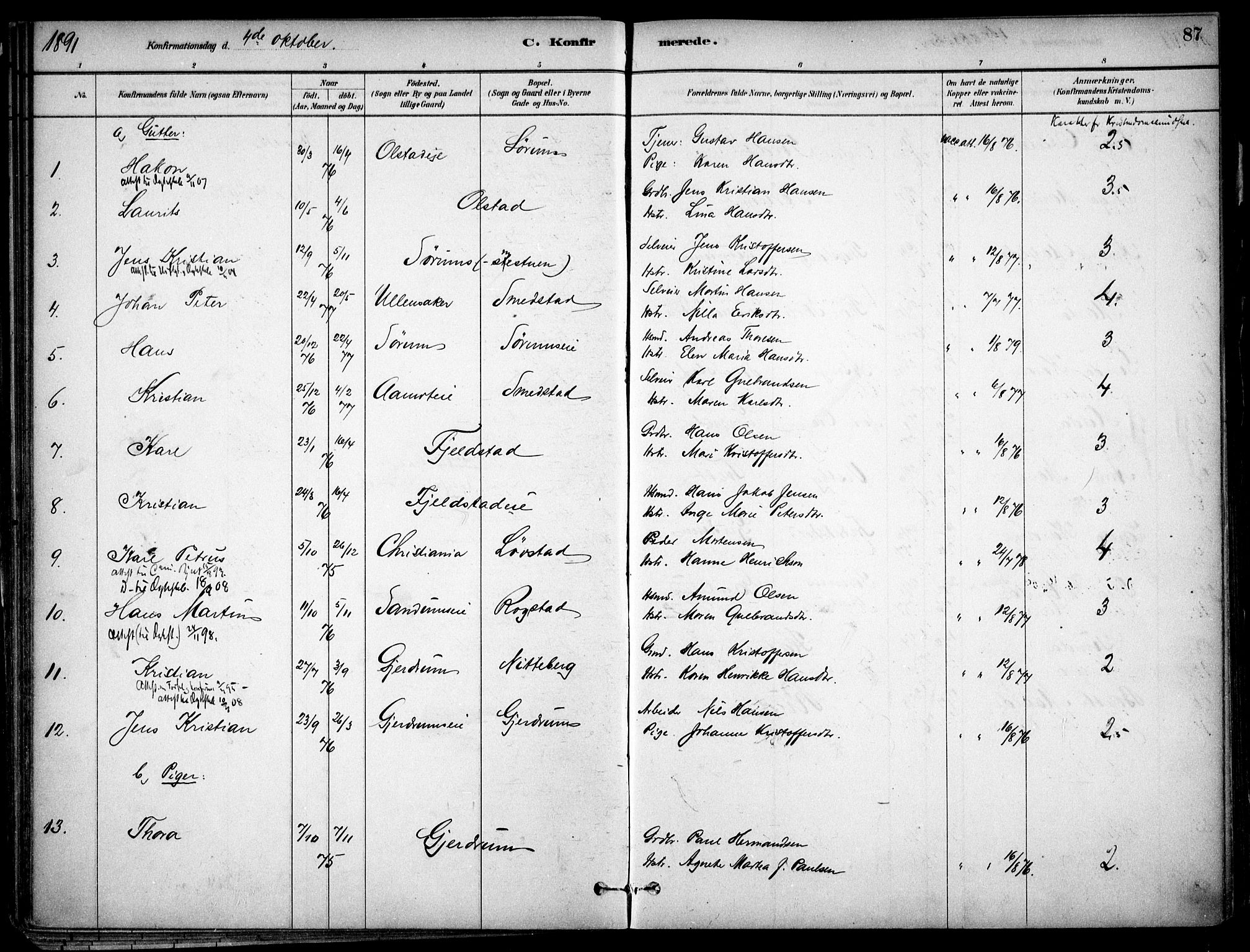 Gjerdrum prestekontor Kirkebøker, SAO/A-10412b/F/Fa/L0009: Parish register (official) no. I 9, 1881-1916, p. 87