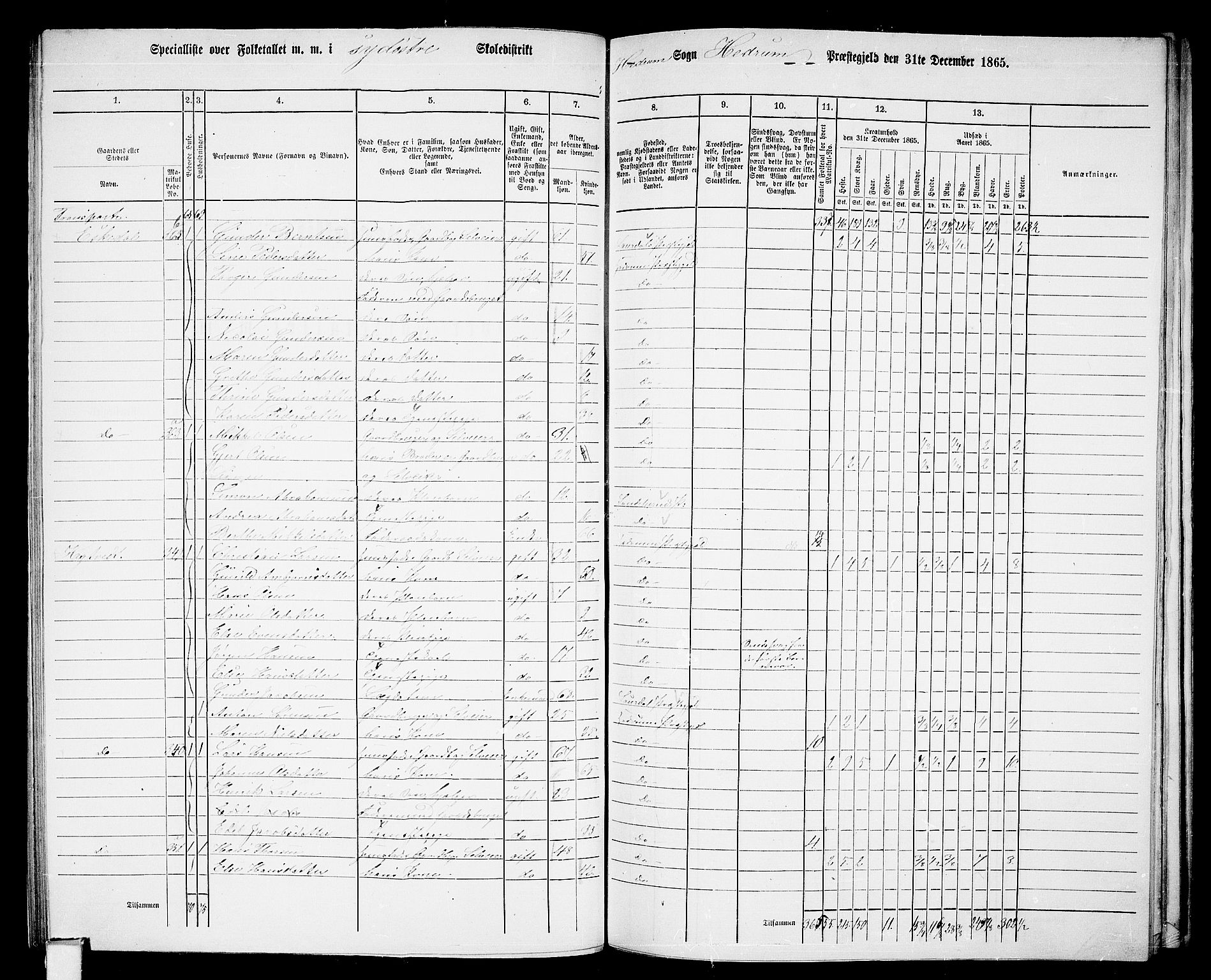 RA, 1865 census for Hedrum, 1865, p. 63