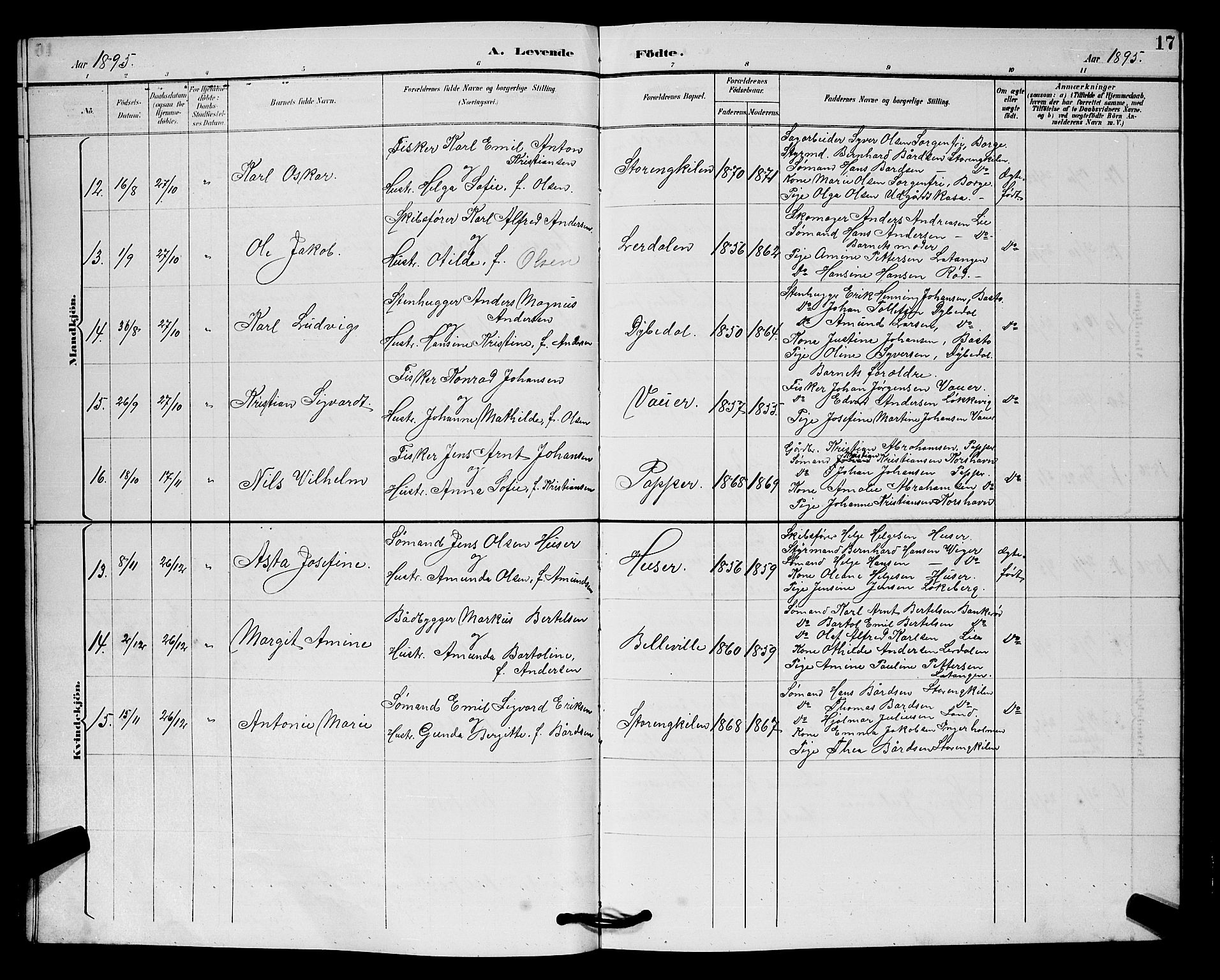 Hvaler prestekontor Kirkebøker, SAO/A-2001/G/Gb/L0001: Parish register (copy) no. II 1, 1892-1904, p. 17