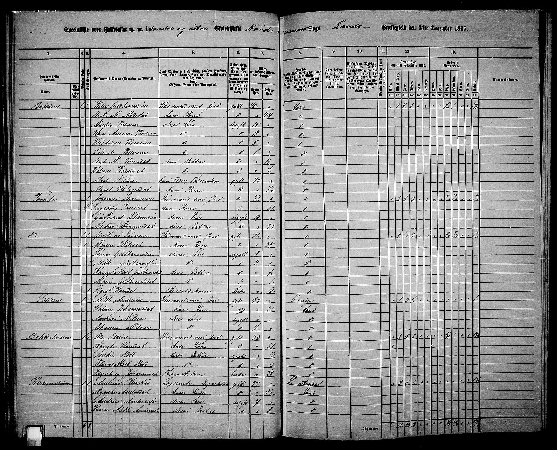 RA, 1865 census for Land, 1865, p. 70