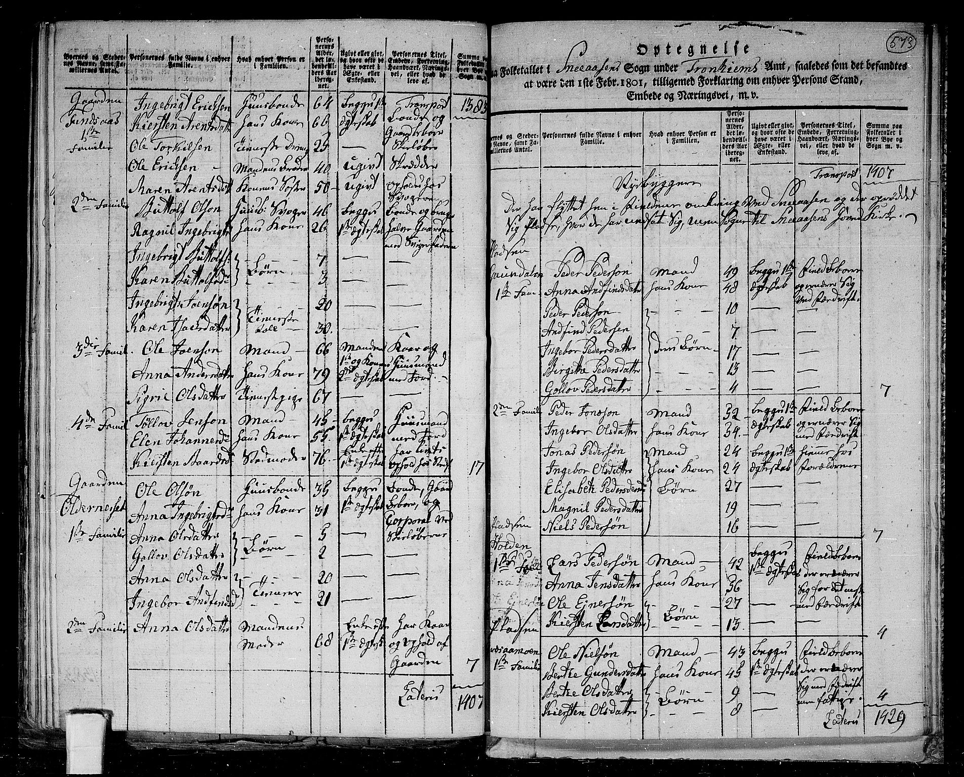 RA, 1801 census for 1736P Snåsa, 1801, p. 572b-573a