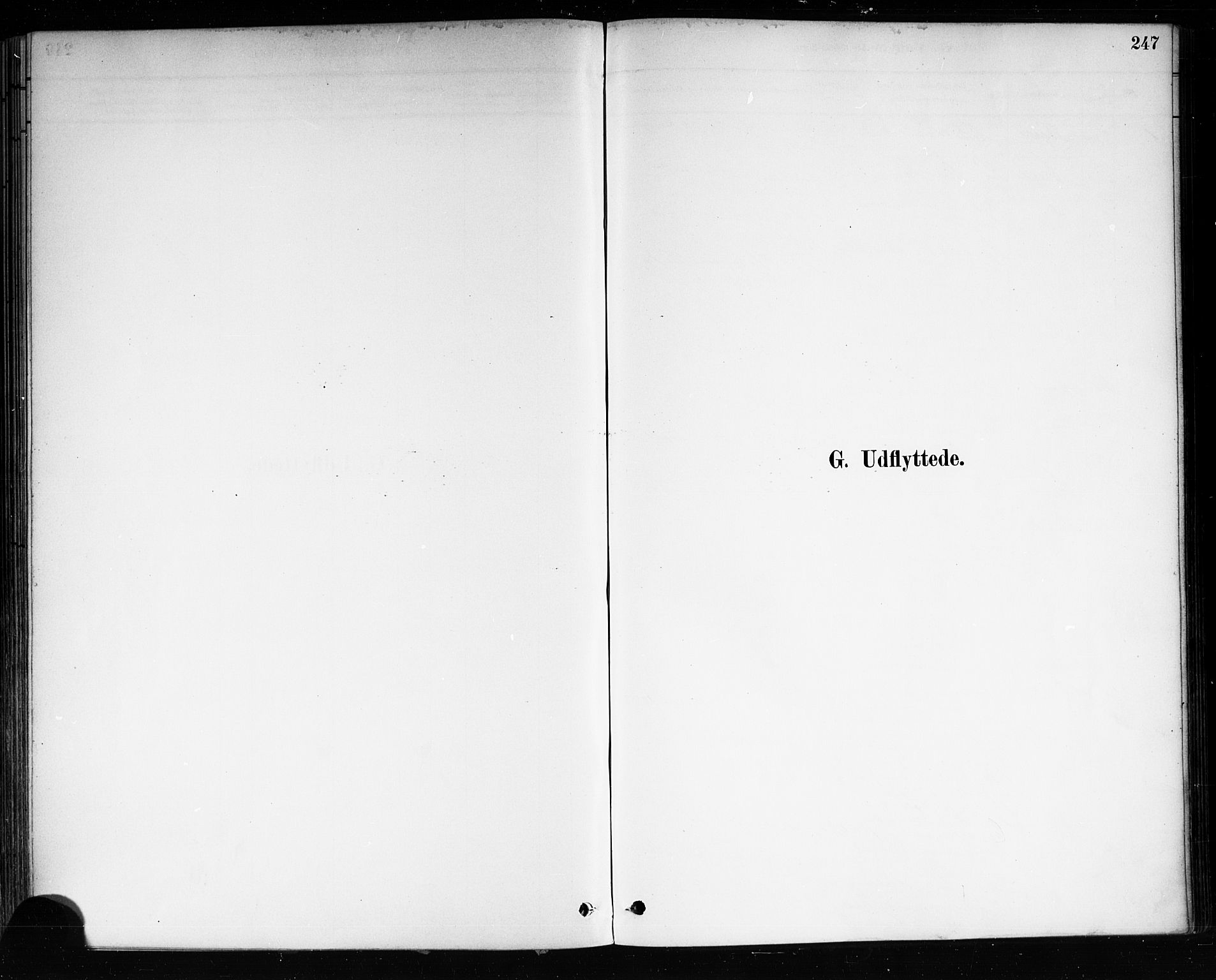 Brevik kirkebøker, SAKO/A-255/F/Fa/L0007: Parish register (official) no. 7, 1882-1900, p. 247