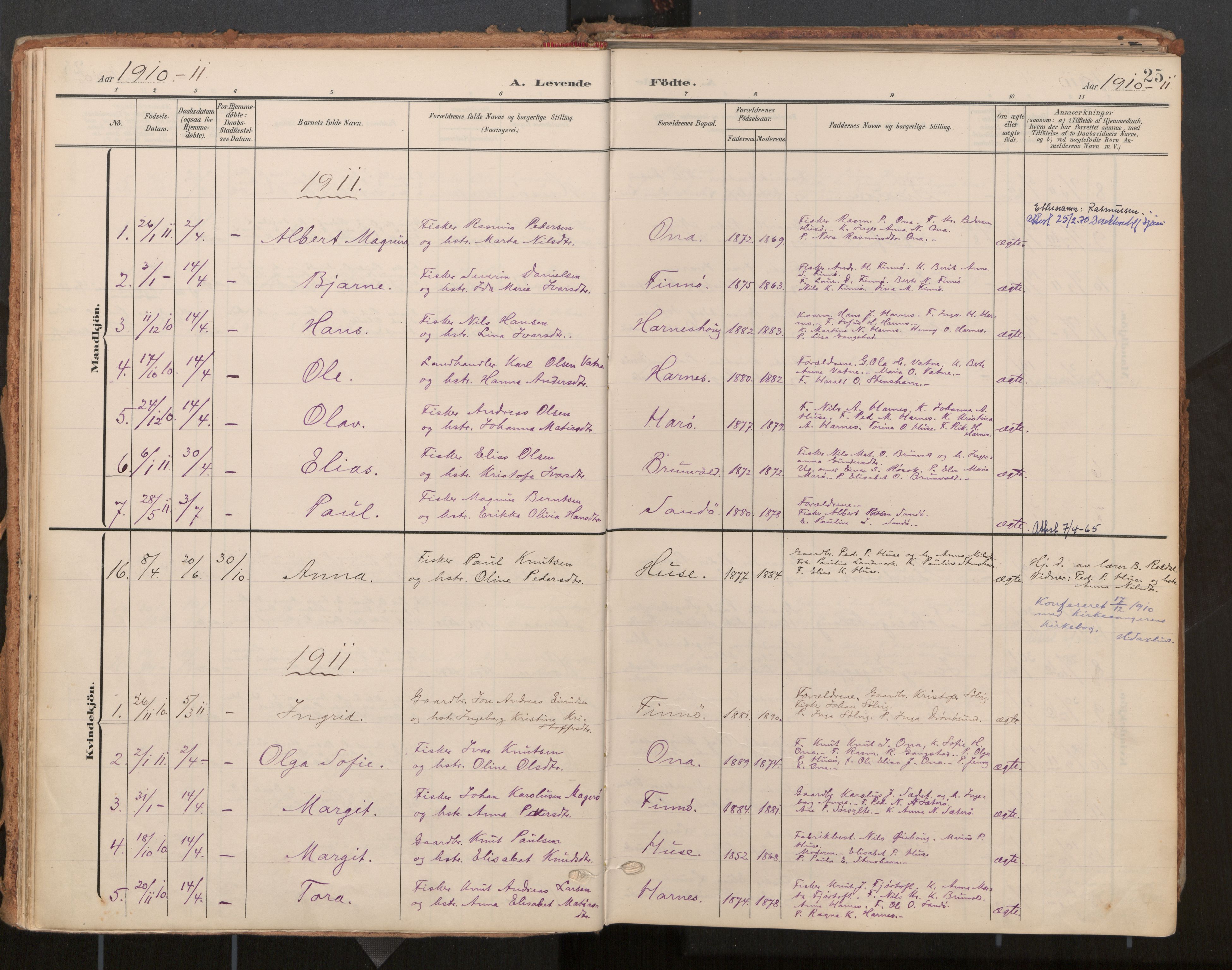 Ministerialprotokoller, klokkerbøker og fødselsregistre - Møre og Romsdal, AV/SAT-A-1454/561/L0730: Parish register (official) no. 561A04, 1901-1929, p. 25