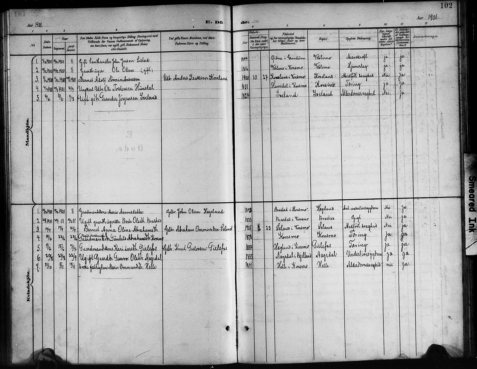 Nord-Audnedal sokneprestkontor, SAK/1111-0032/F/Fb/Fba/L0004: Parish register (copy) no. B 4, 1901-1917, p. 102