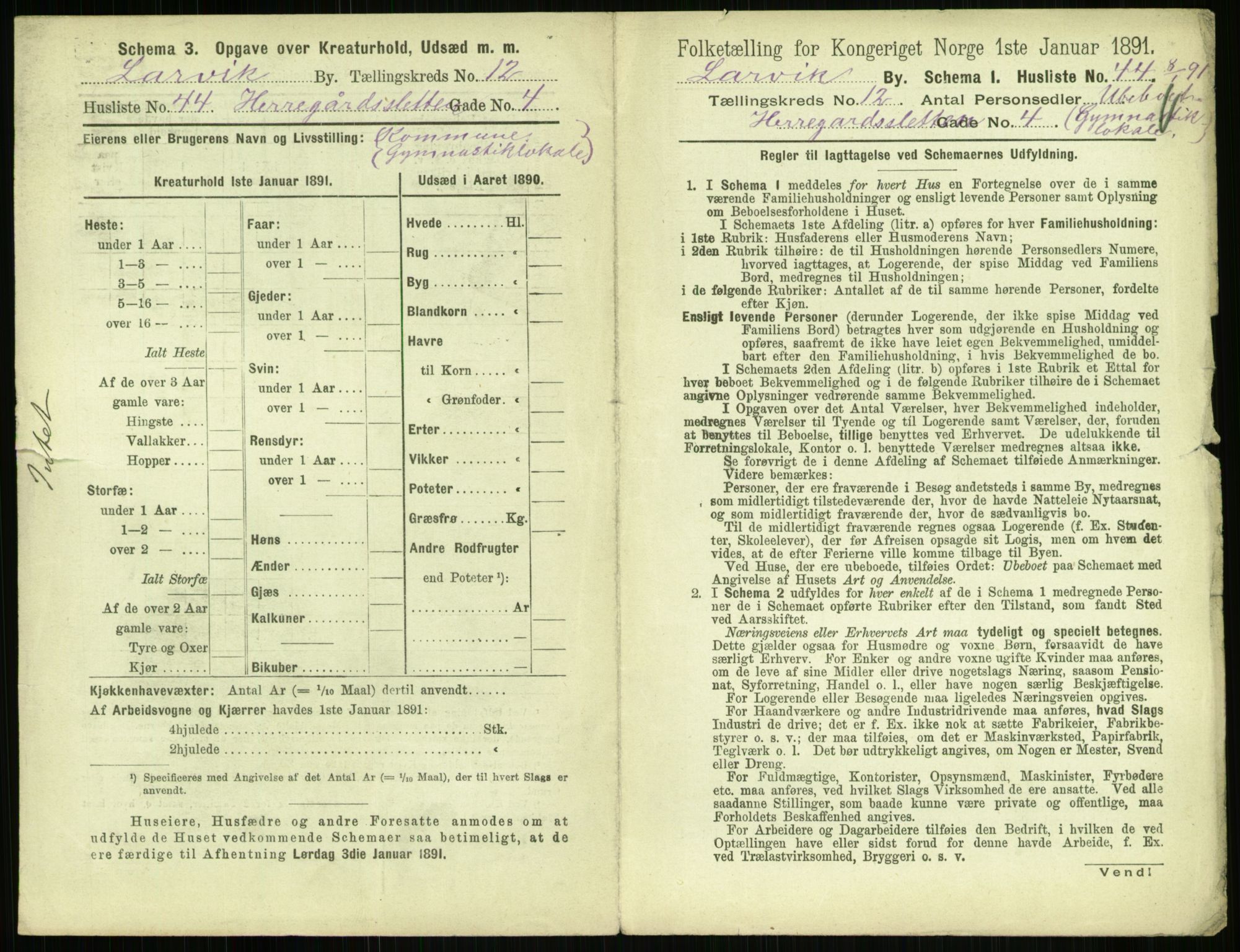 RA, 1891 census for 0707 Larvik, 1891, p. 1505