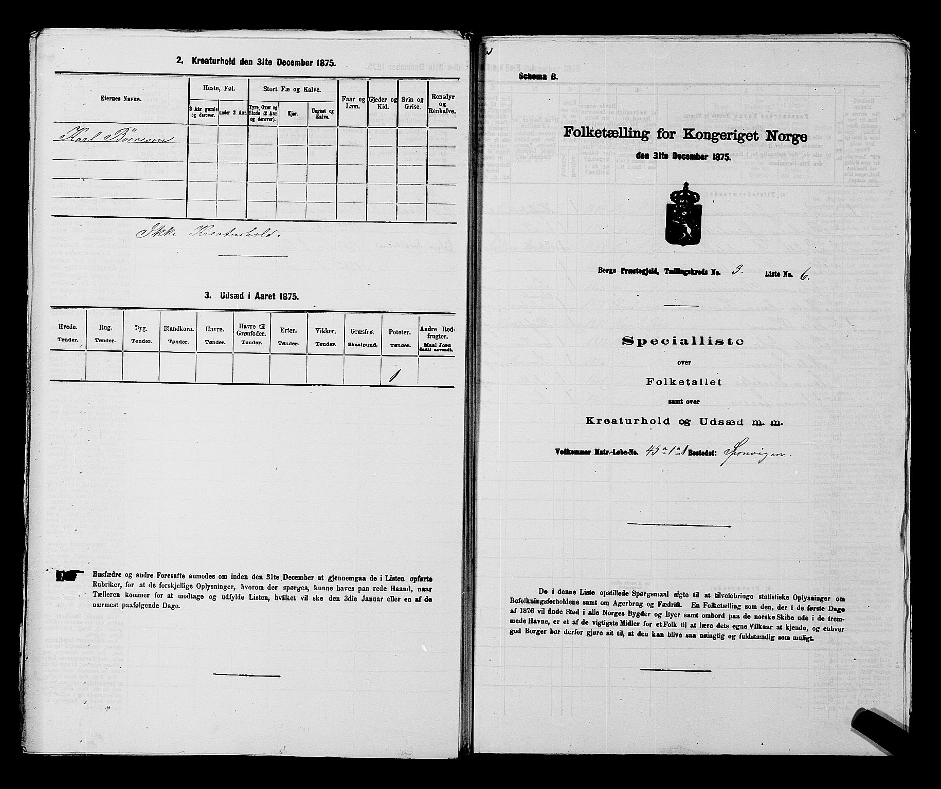 RA, 1875 census for 0116P Berg, 1875, p. 456