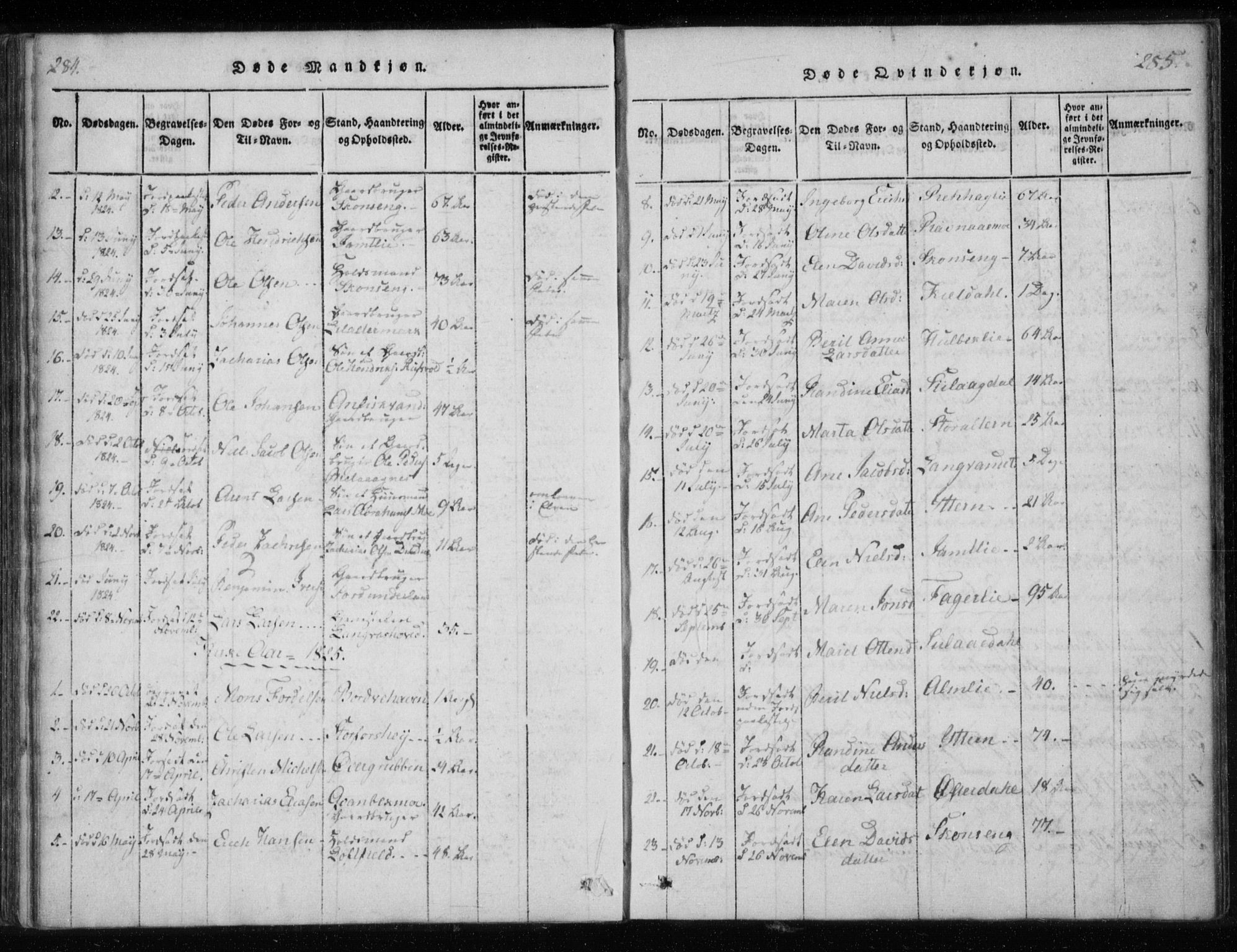 Ministerialprotokoller, klokkerbøker og fødselsregistre - Nordland, AV/SAT-A-1459/825/L0353: Parish register (official) no. 825A07, 1820-1826, p. 284-285