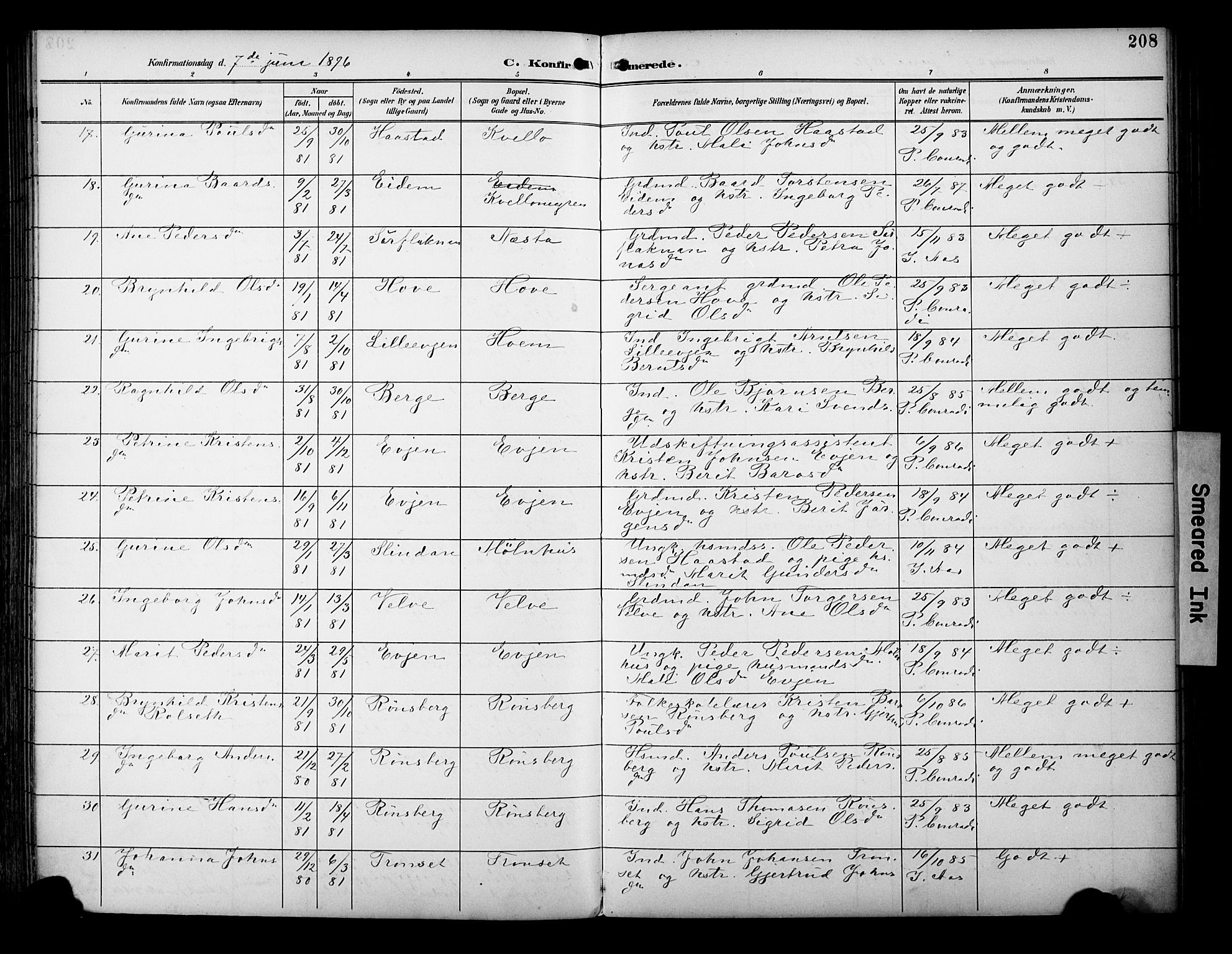 Ministerialprotokoller, klokkerbøker og fødselsregistre - Sør-Trøndelag, AV/SAT-A-1456/695/L1149: Parish register (official) no. 695A09, 1891-1902, p. 208