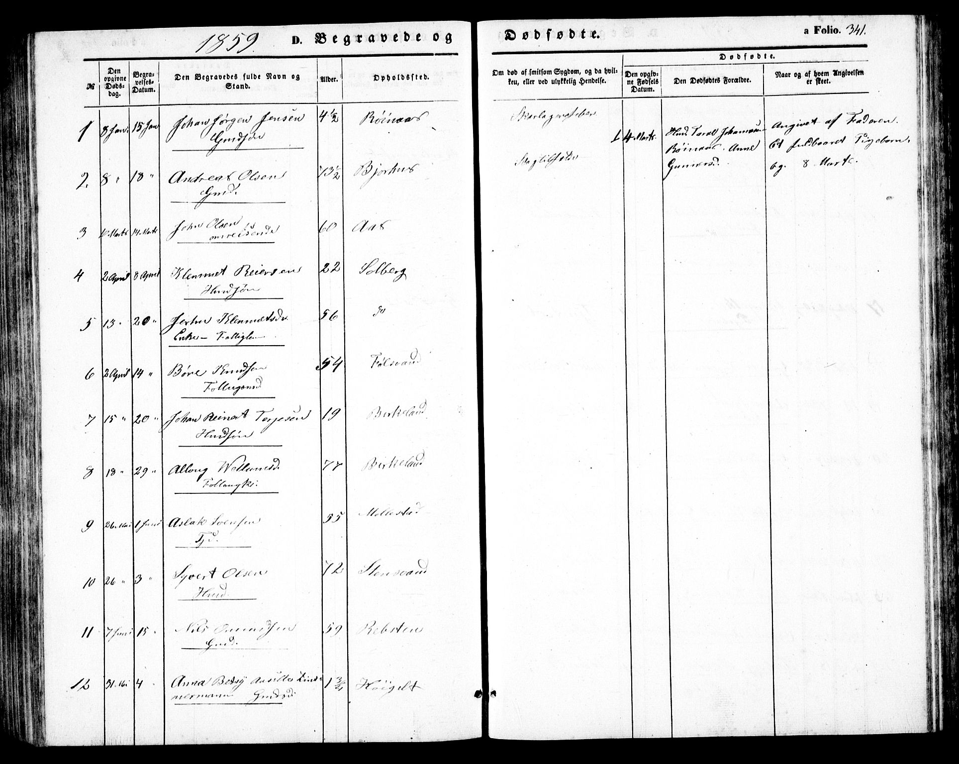 Birkenes sokneprestkontor, AV/SAK-1111-0004/F/Fb/L0002: Parish register (copy) no. B 2, 1849-1876, p. 341