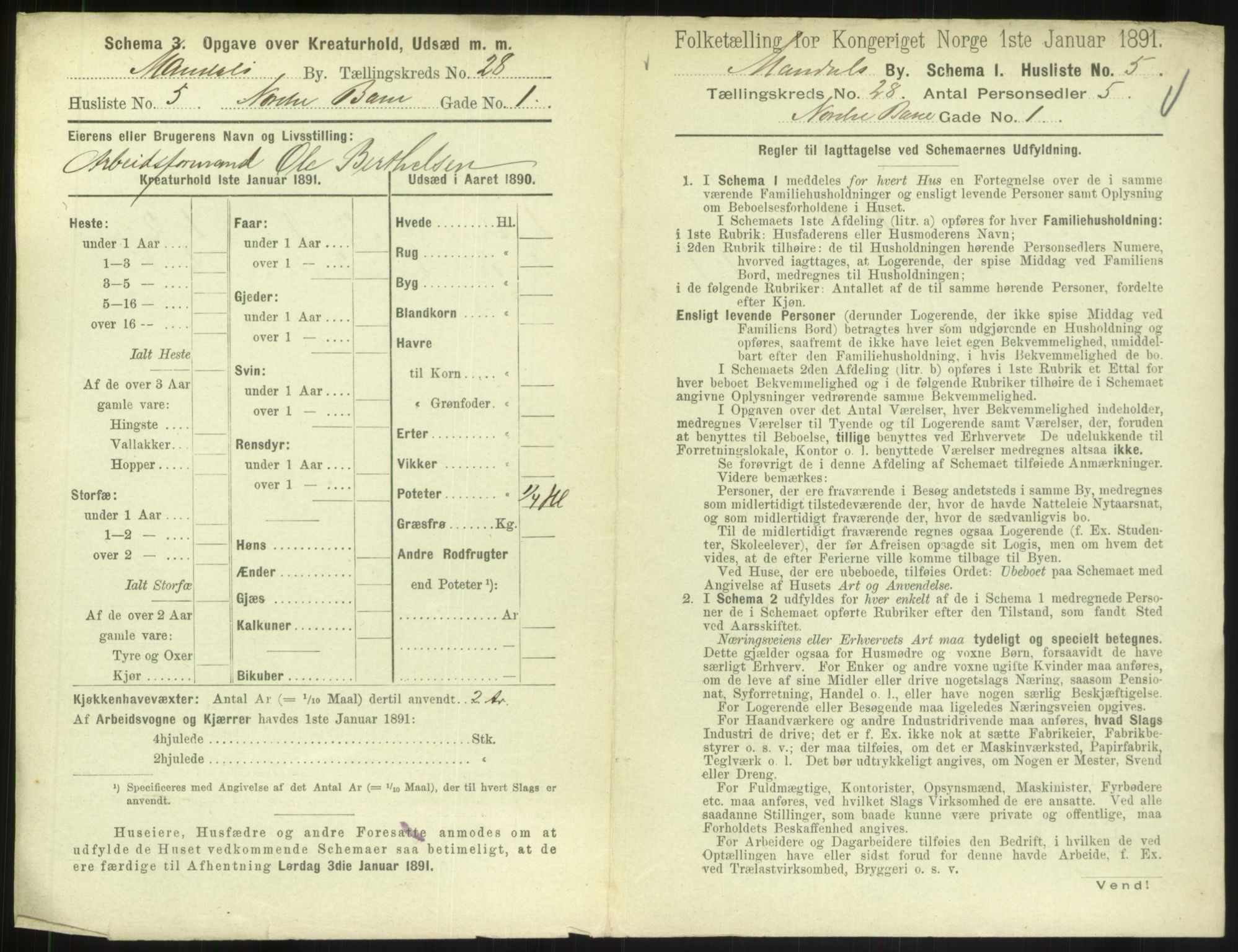 RA, 1891 census for 1002 Mandal, 1891, p. 1255