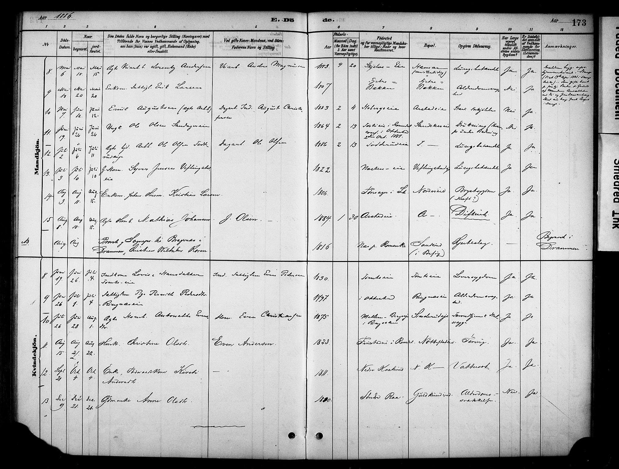 Stange prestekontor, SAH/PREST-002/K/L0019: Parish register (official) no. 19, 1880-1891, p. 173