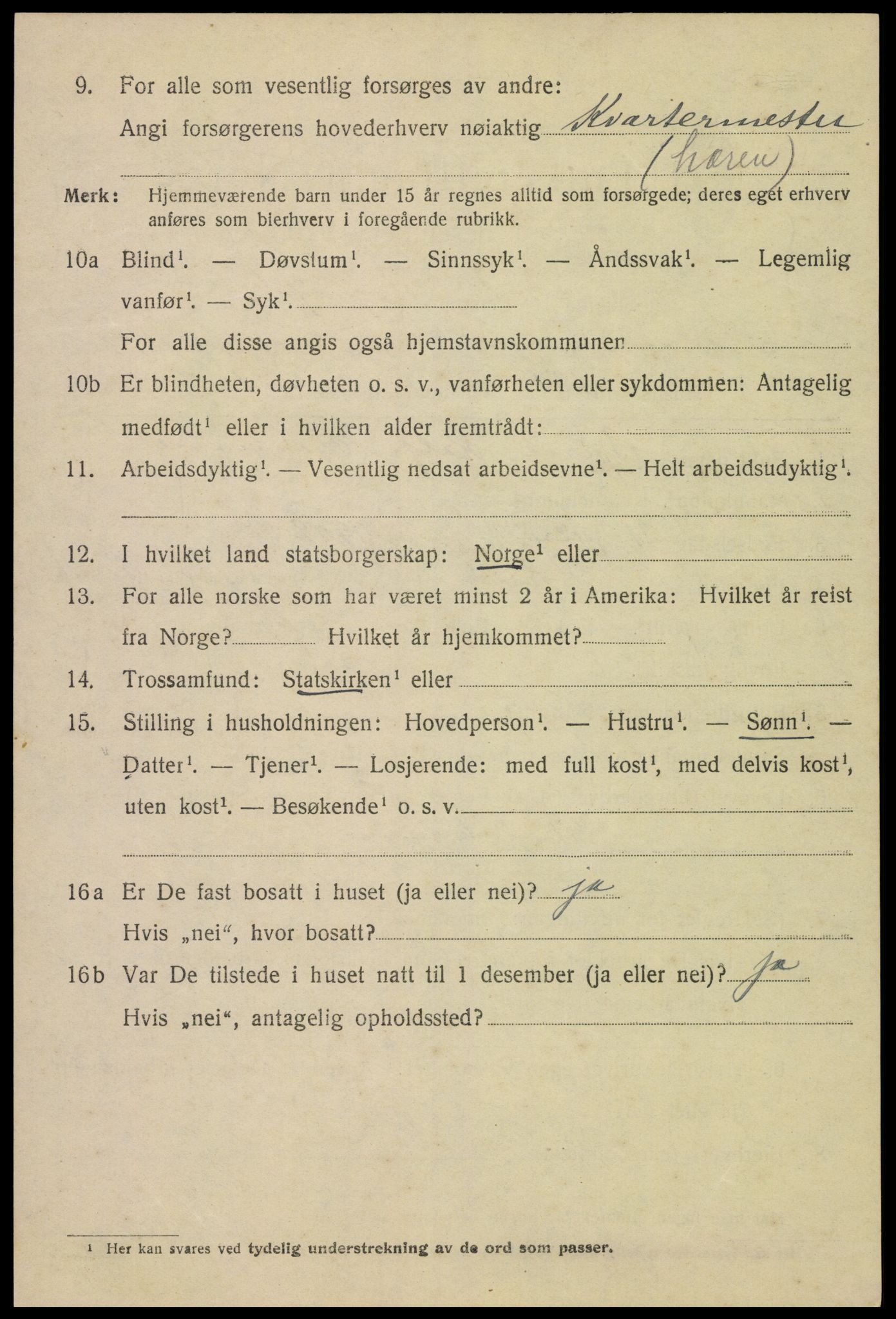 SAH, 1920 census for Lillehammer, 1920, p. 12357