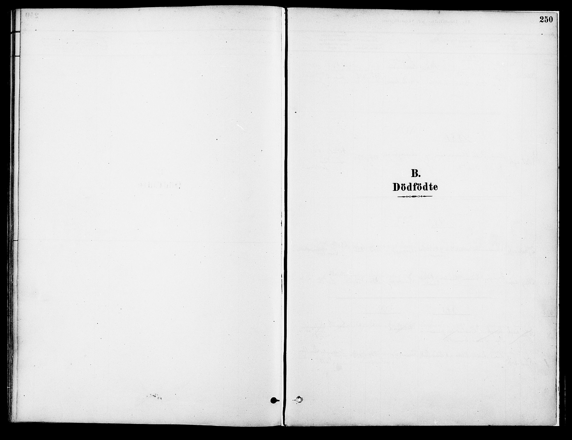 Vang prestekontor, Hedmark, SAH/PREST-008/H/Ha/Haa/L0018A: Parish register (official) no. 18A, 1880-1906, p. 250