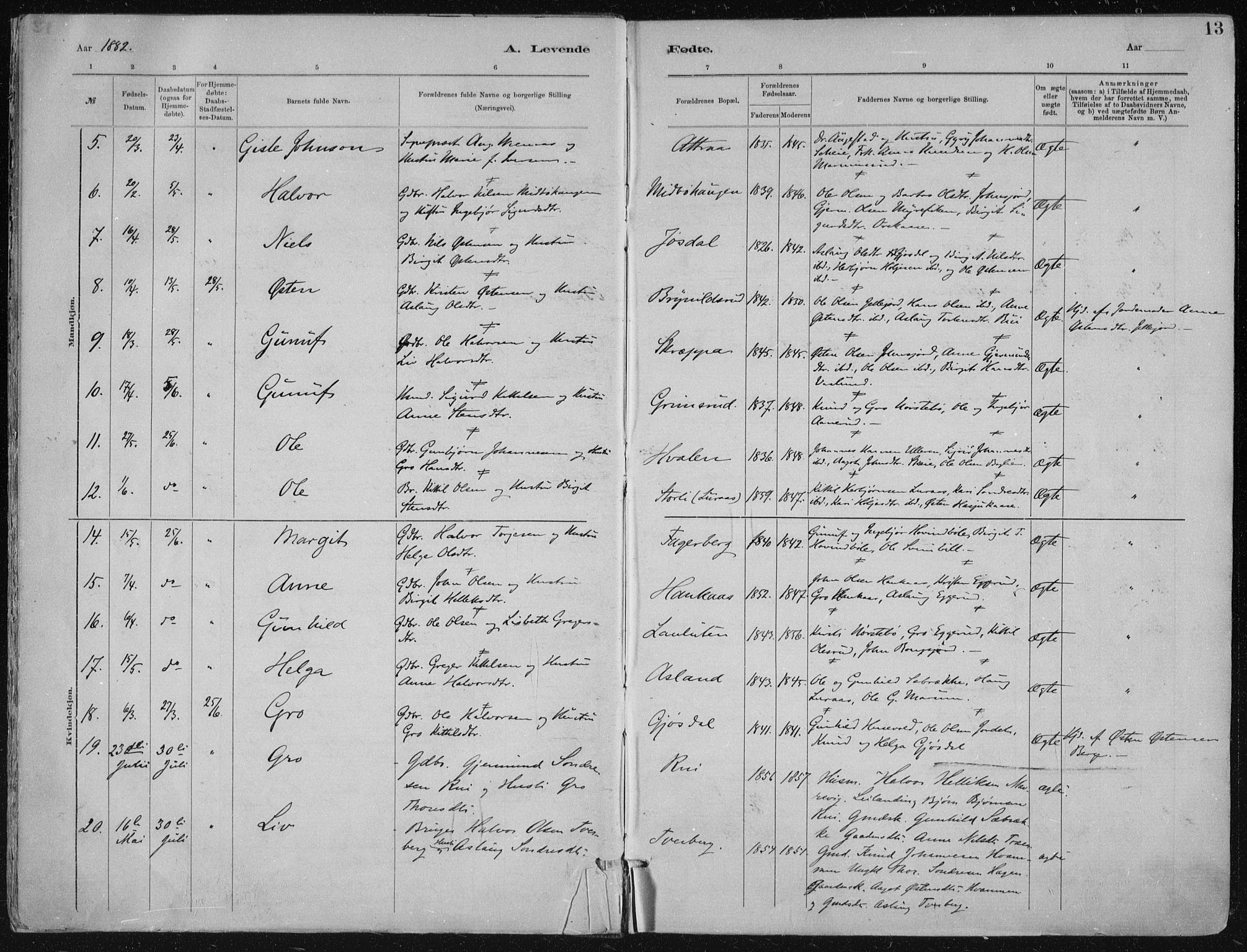 Tinn kirkebøker, AV/SAKO-A-308/F/Fa/L0007: Parish register (official) no. I 7, 1878-1922, p. 13