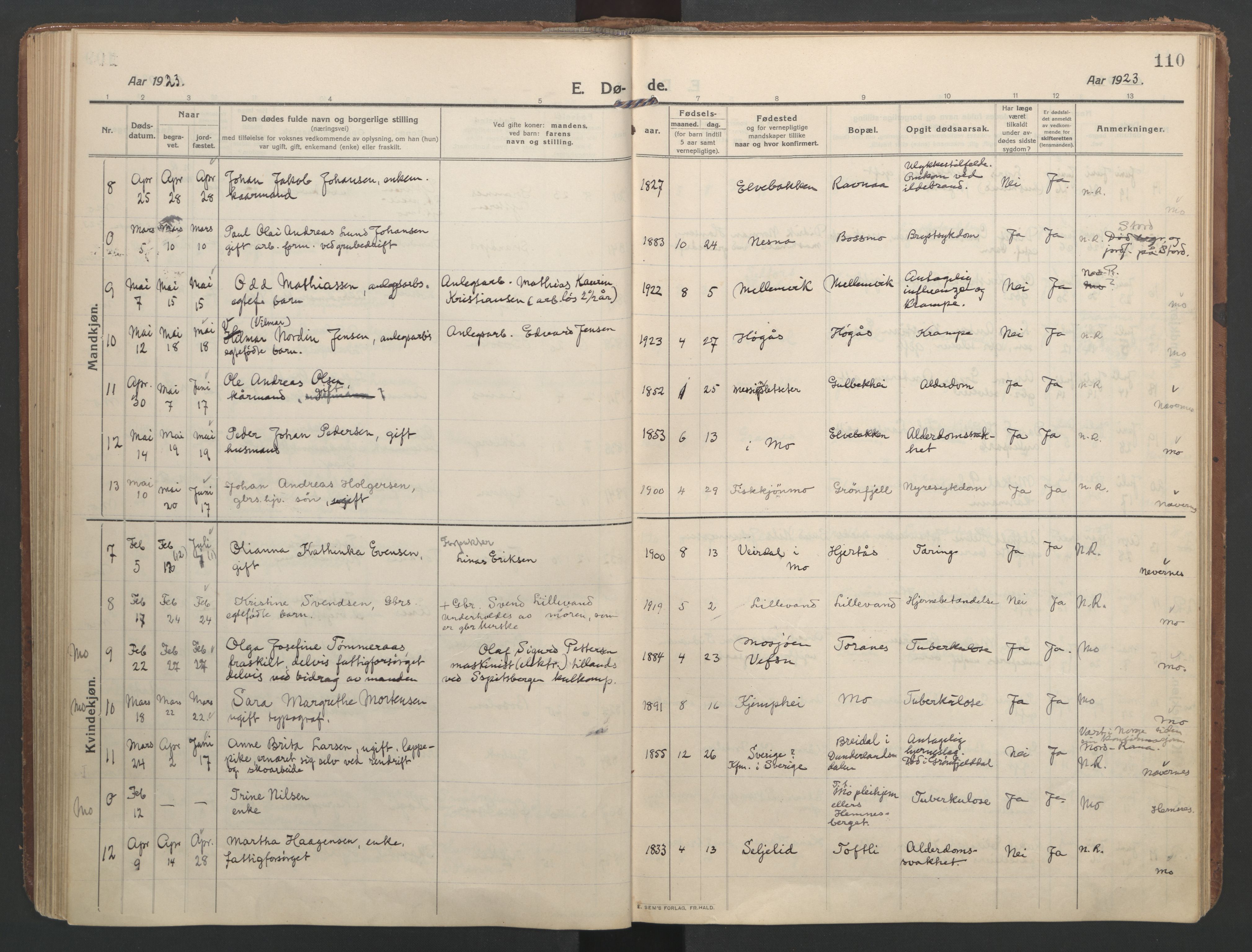 Ministerialprotokoller, klokkerbøker og fødselsregistre - Nordland, SAT/A-1459/827/L0405: Parish register (official) no. 827A17, 1912-1925, p. 110