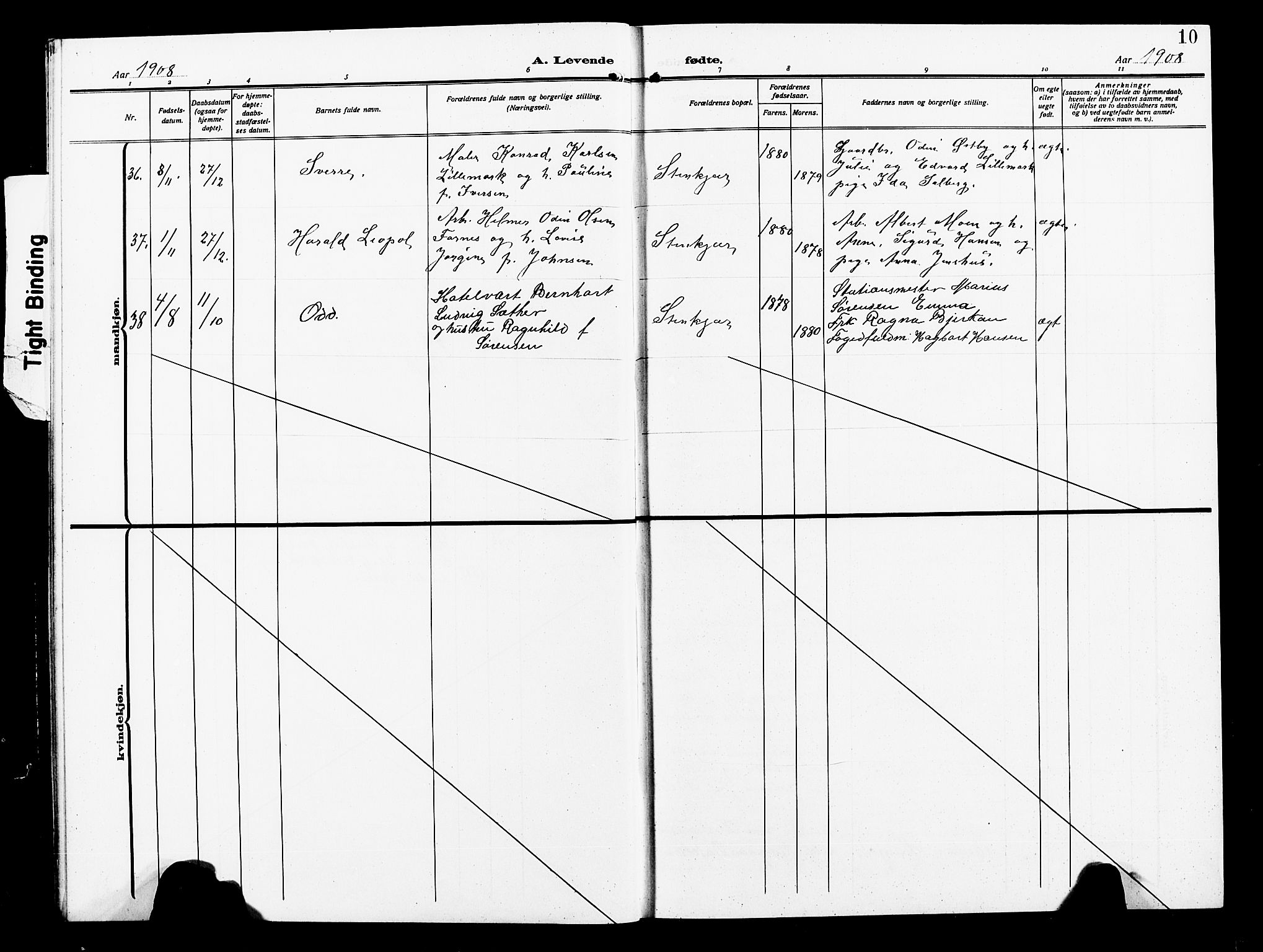 Ministerialprotokoller, klokkerbøker og fødselsregistre - Nord-Trøndelag, SAT/A-1458/739/L0376: Parish register (copy) no. 739C04, 1908-1917, p. 10