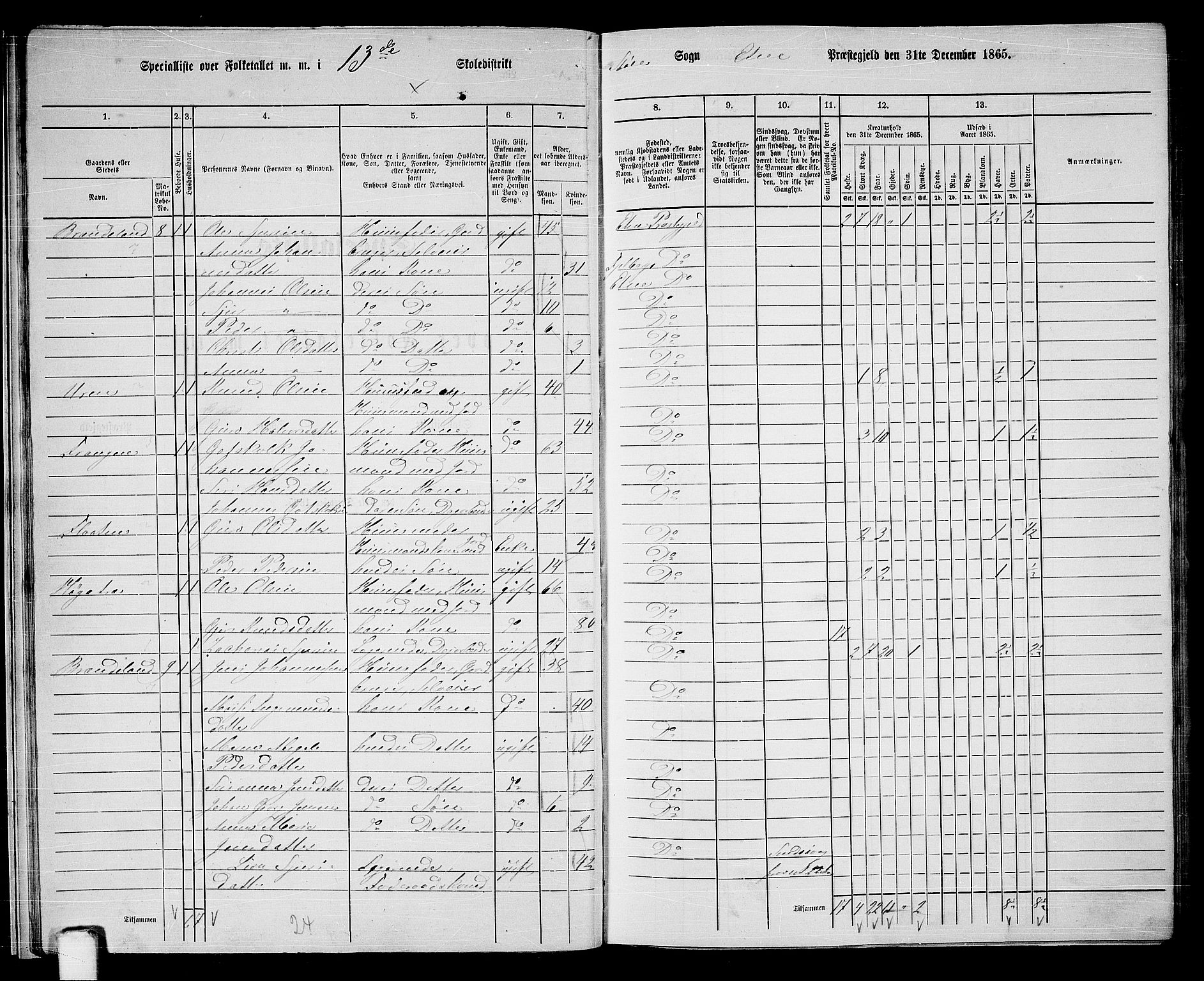 RA, 1865 census for Etne, 1865, p. 19