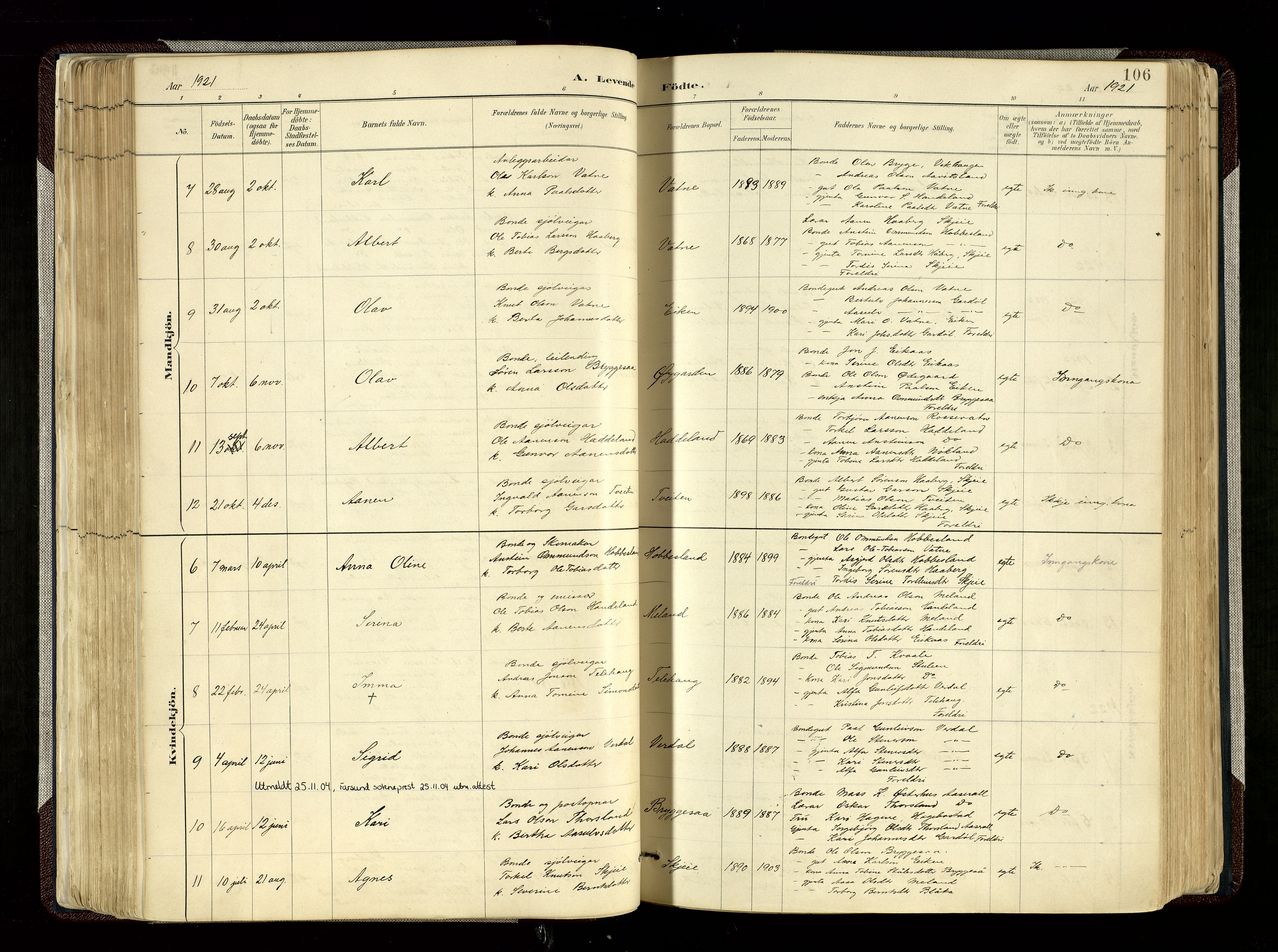 Hægebostad sokneprestkontor, AV/SAK-1111-0024/F/Fa/Fab/L0004: Parish register (official) no. A 4, 1887-1929, p. 106