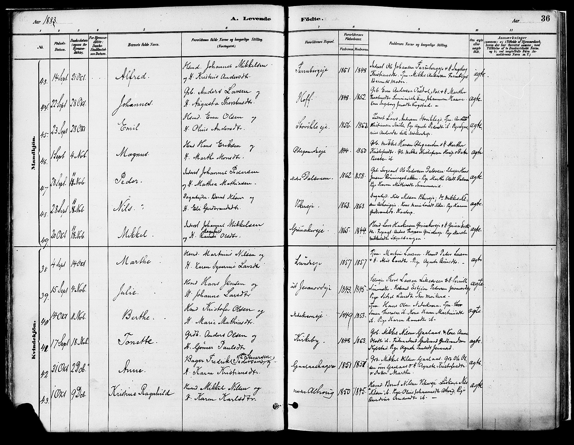 Vang prestekontor, Hedmark, AV/SAH-PREST-008/H/Ha/Haa/L0018A: Parish register (official) no. 18A, 1880-1906, p. 36
