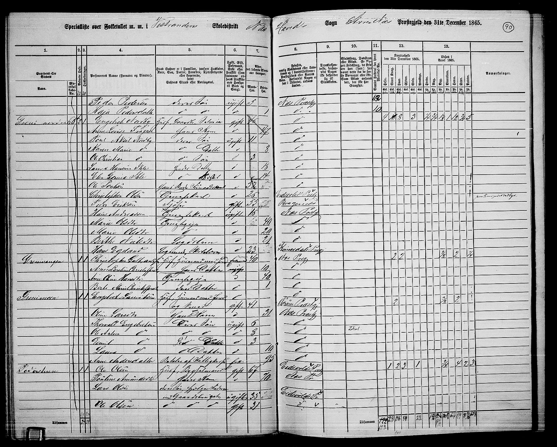 RA, 1865 census for Nes, 1865, p. 82