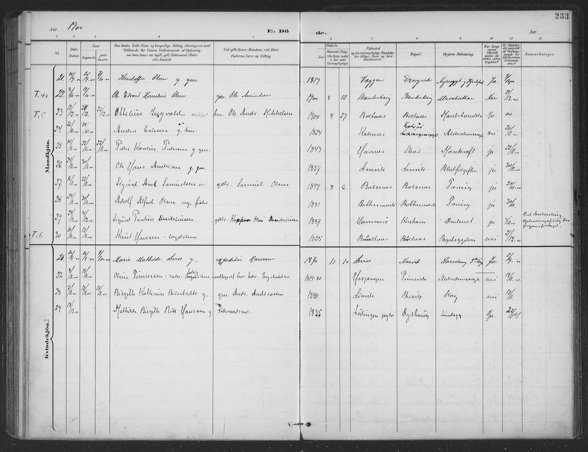 Ministerialprotokoller, klokkerbøker og fødselsregistre - Nordland, SAT/A-1459/863/L0899: Parish register (official) no. 863A11, 1897-1906, p. 233