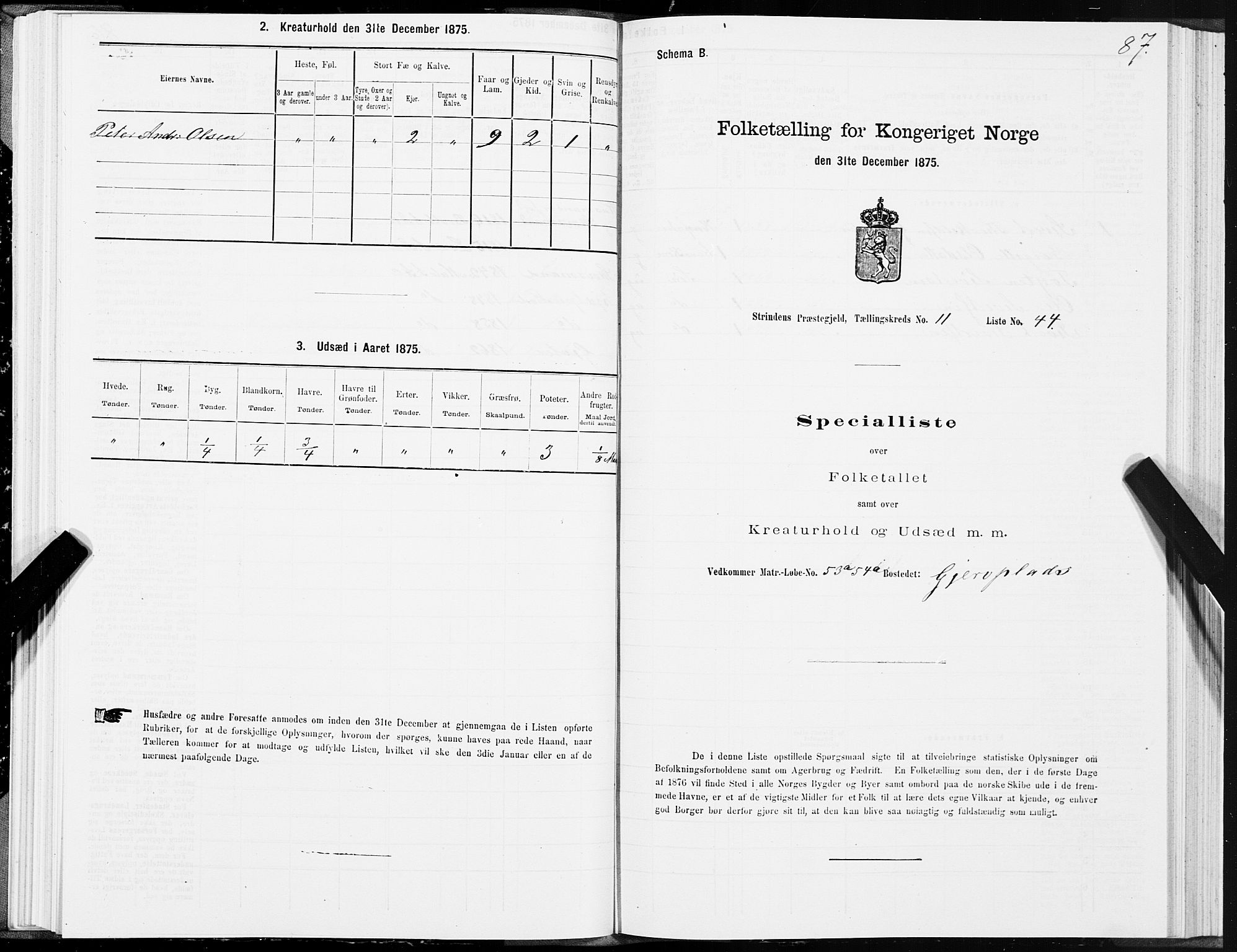 SAT, 1875 census for 1660P Strinda, 1875, p. 7087