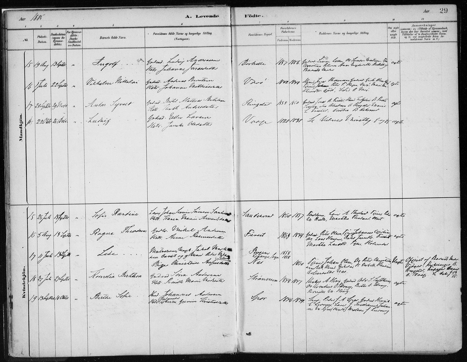 Askvoll sokneprestembete, AV/SAB-A-79501/H/Haa/Haab/L0002: Parish register (official) no. B 2, 1879-1909, p. 29