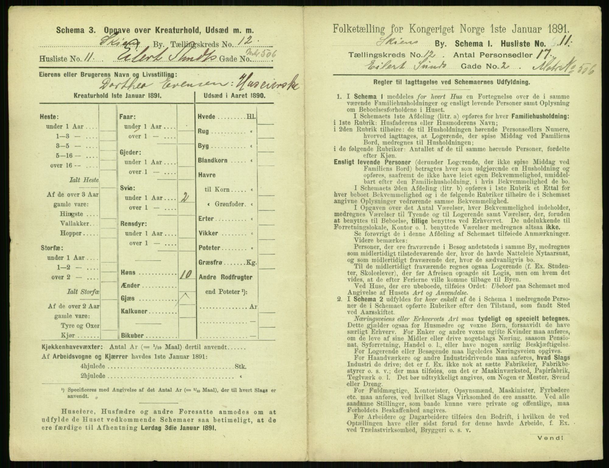 RA, 1891 census for 0806 Skien, 1891, p. 490