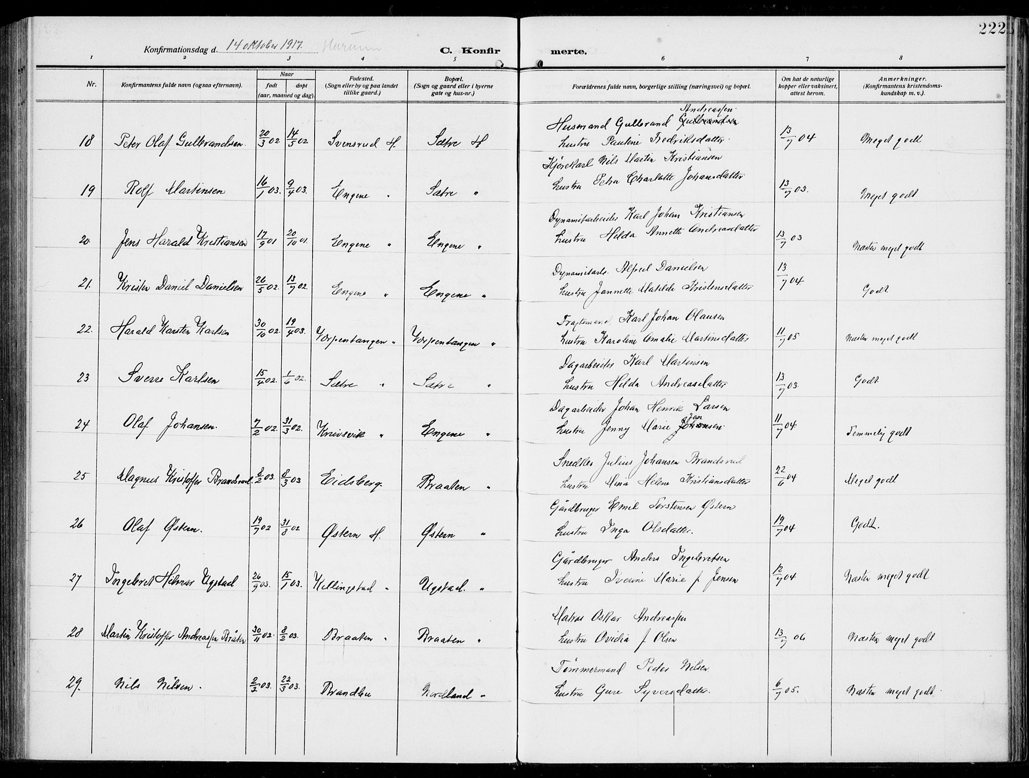 Hurum kirkebøker, SAKO/A-229/F/Fa/L0016: Parish register (official) no. 16, 1899-1918, p. 222