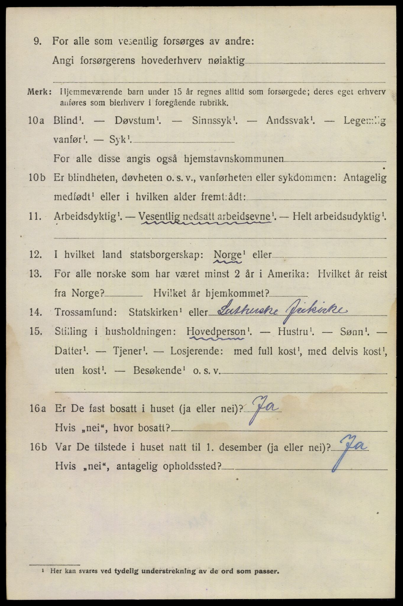 SAO, 1920 census for Nes, 1920, p. 13957