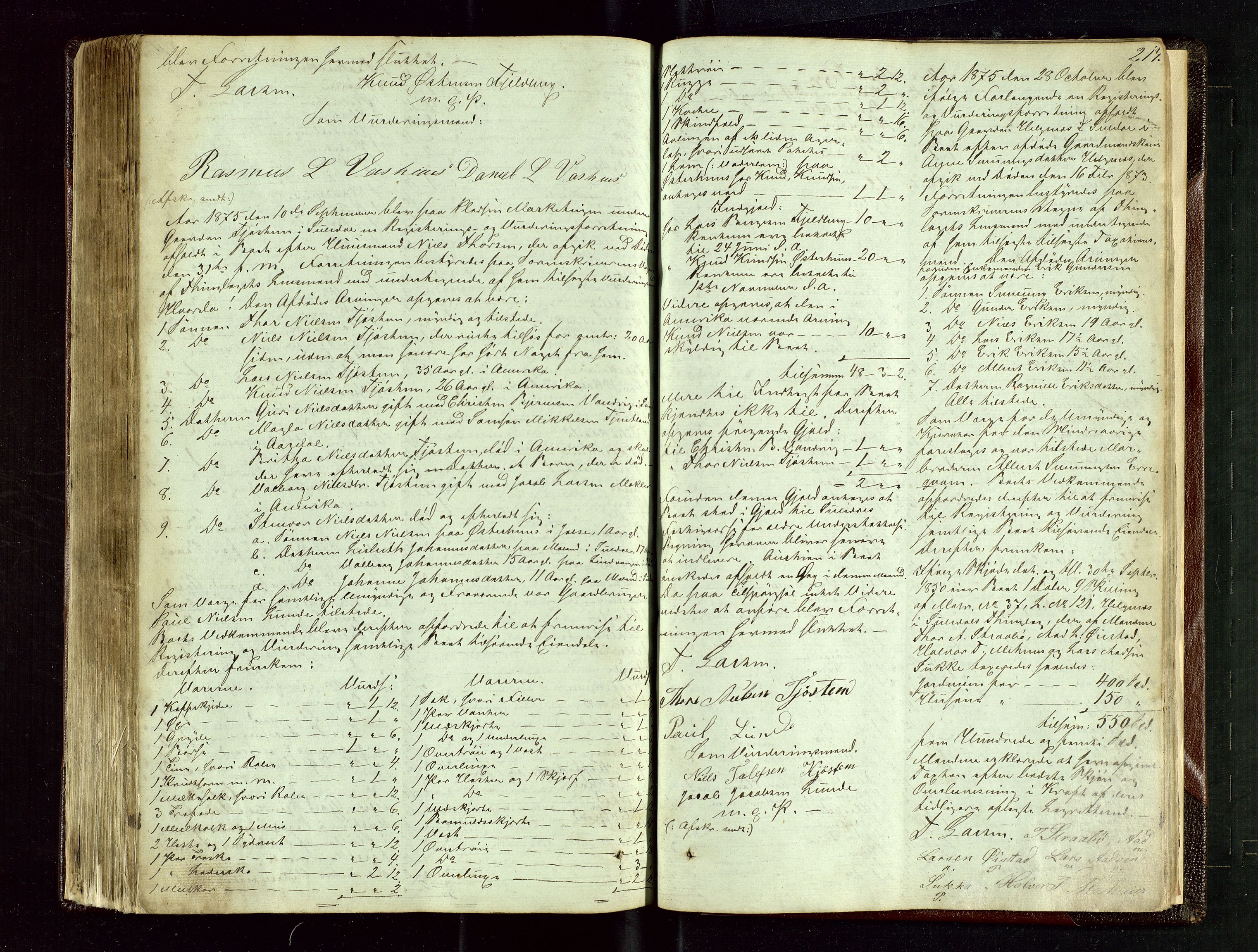 Ryfylke tingrett, AV/SAST-A-100055/001/IV/IVE/L0004: Skifteregistreringsprotokoll Suldal, 1851-1877, p. 217