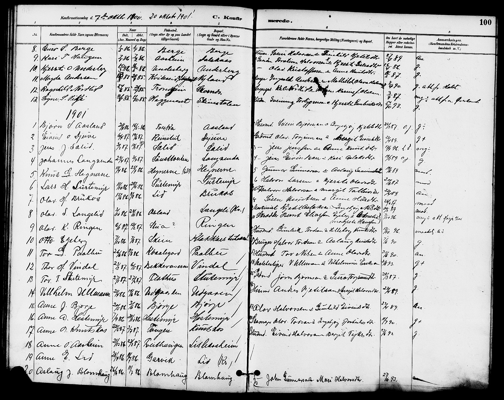 Seljord kirkebøker, SAKO/A-20/G/Ga/L0005: Parish register (copy) no. I 5, 1887-1914, p. 100