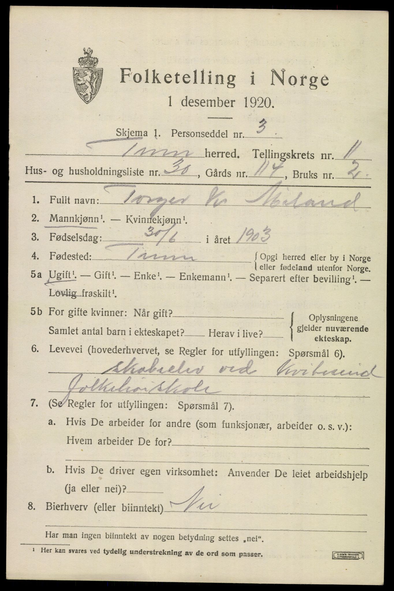 SAKO, 1920 census for Tinn, 1920, p. 7324